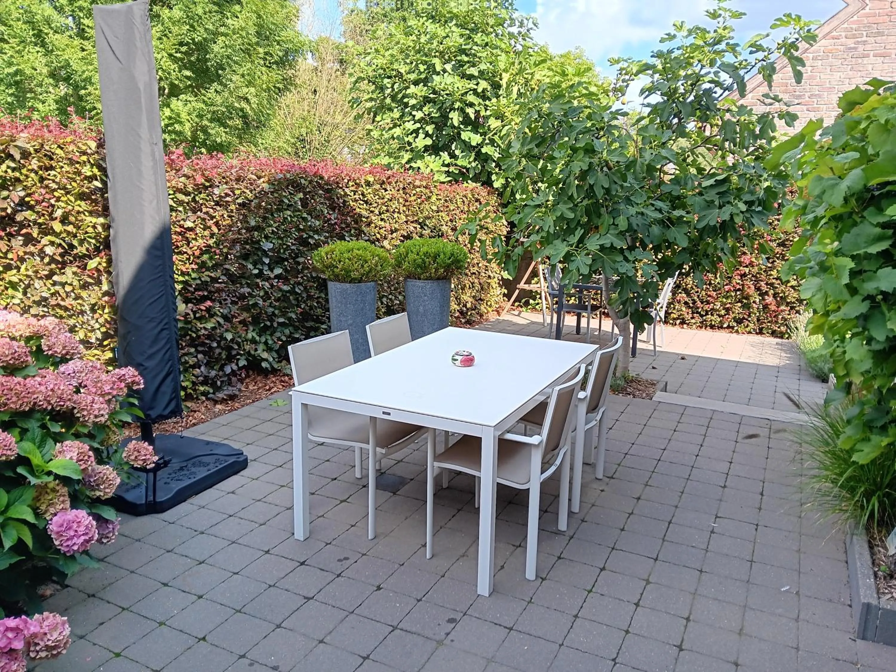 Garden view in B&B De Pepelinck