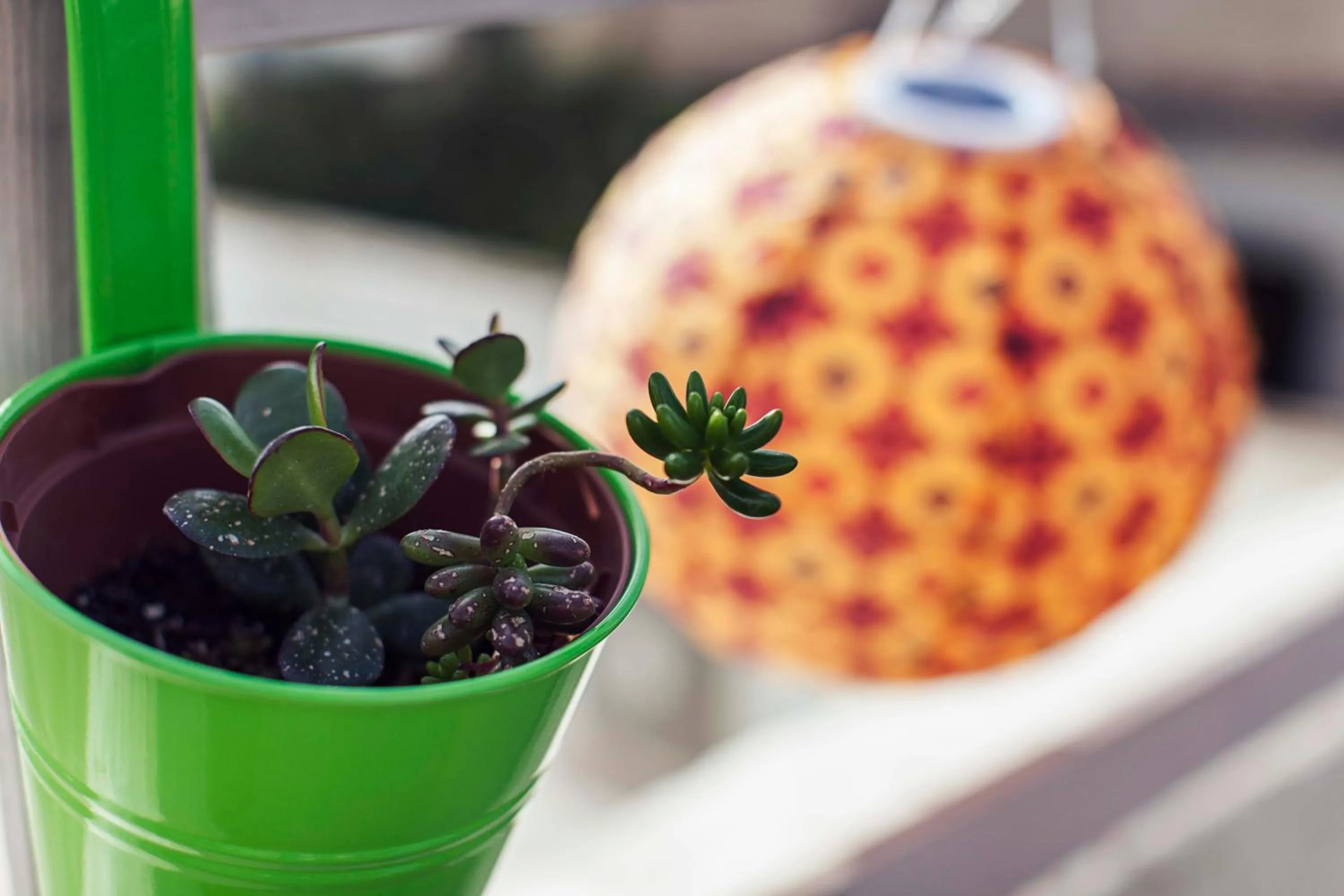Balcony/Terrace in Granny's Inn Hostel