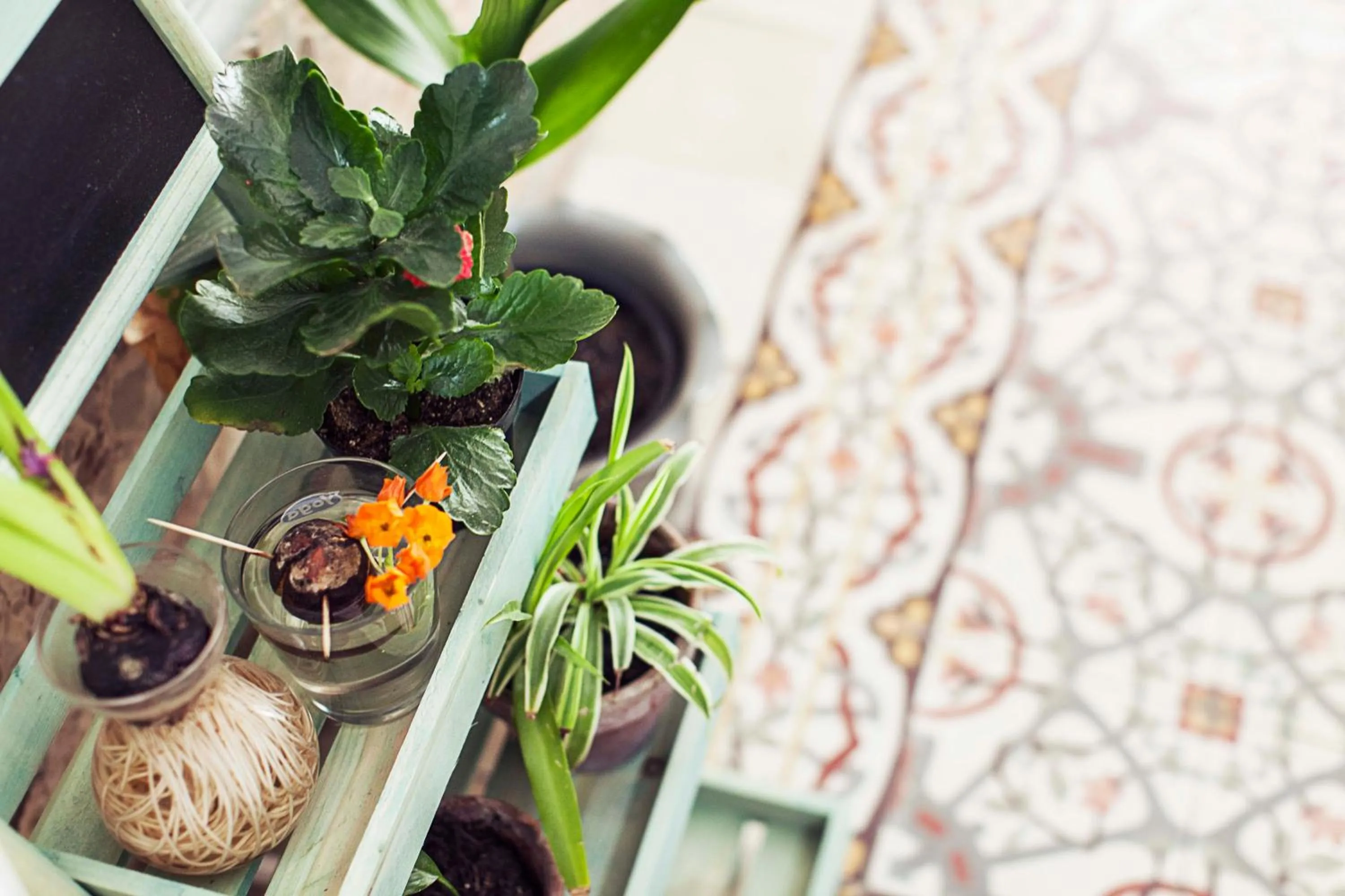 Lobby or reception in Granny's Inn Hostel