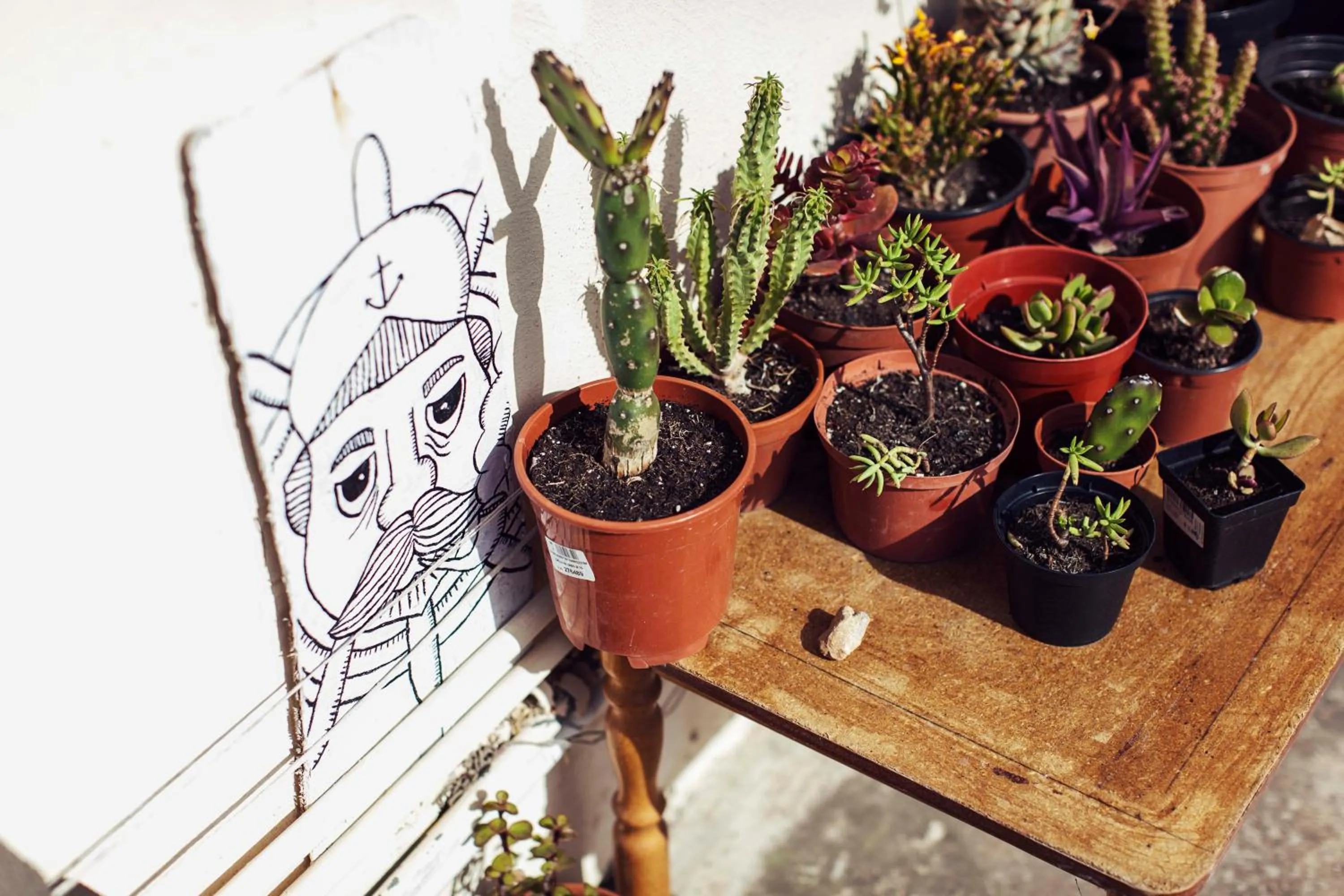 Balcony/Terrace in Granny's Inn Hostel