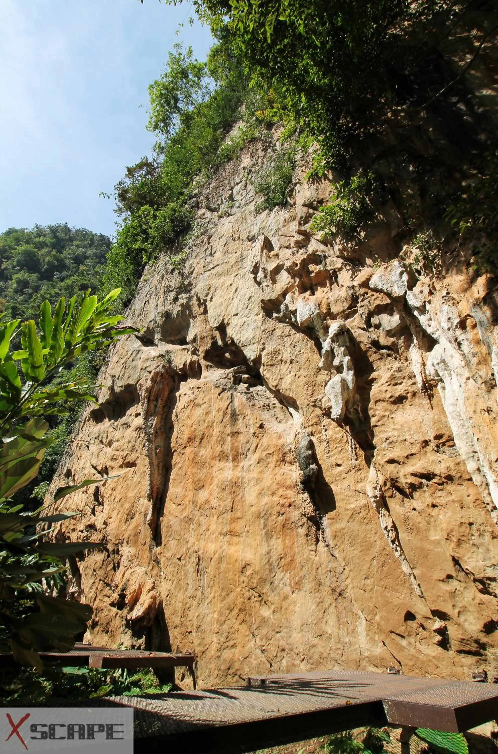 Natural landscape in Xscape Tambun