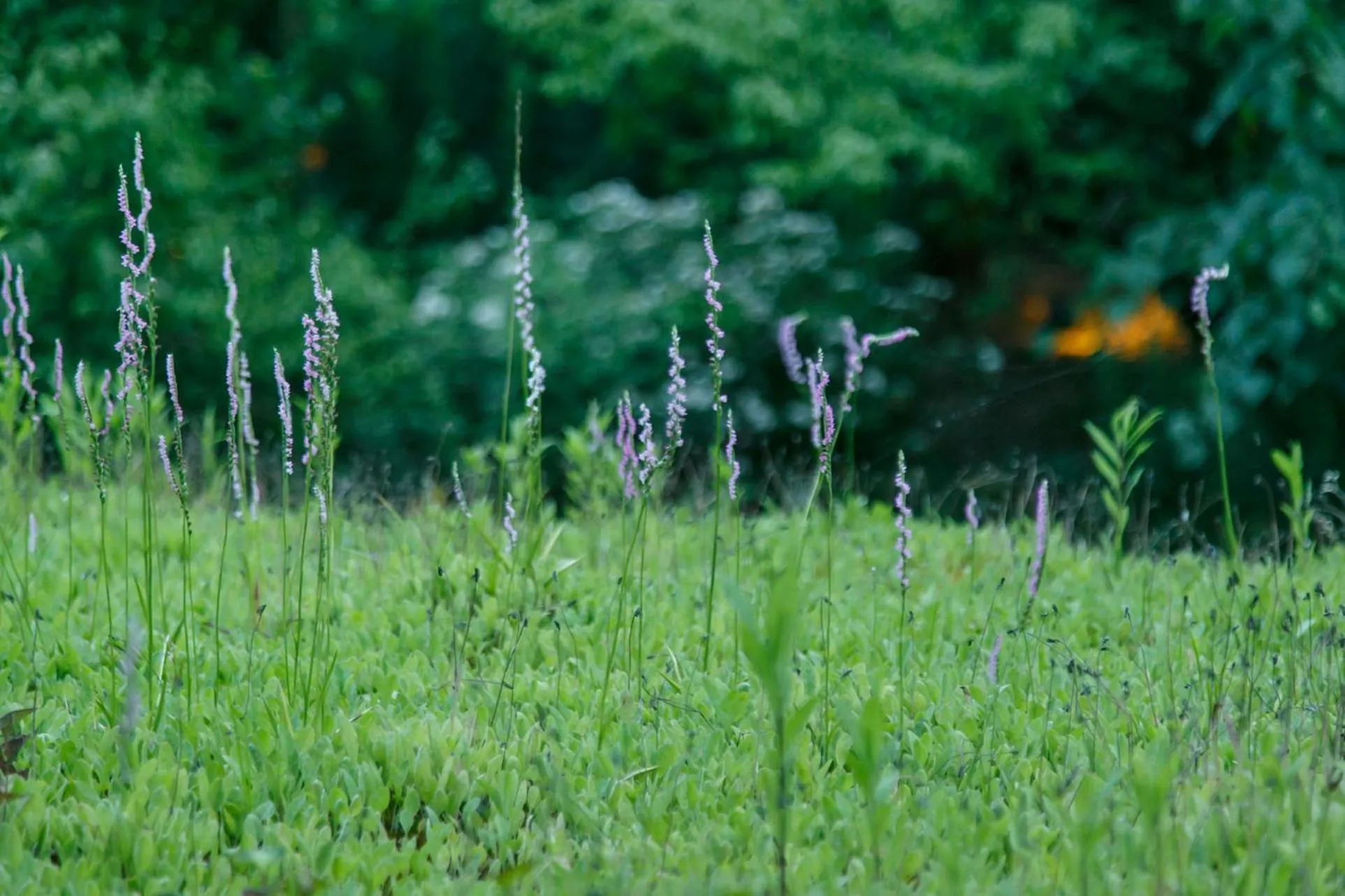 Property building in Shaga-no-Sato Yumeya