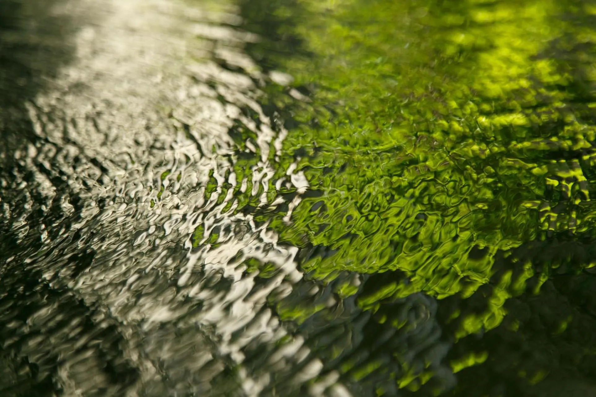 Hot Spring Bath in Shaga-no-Sato Yumeya