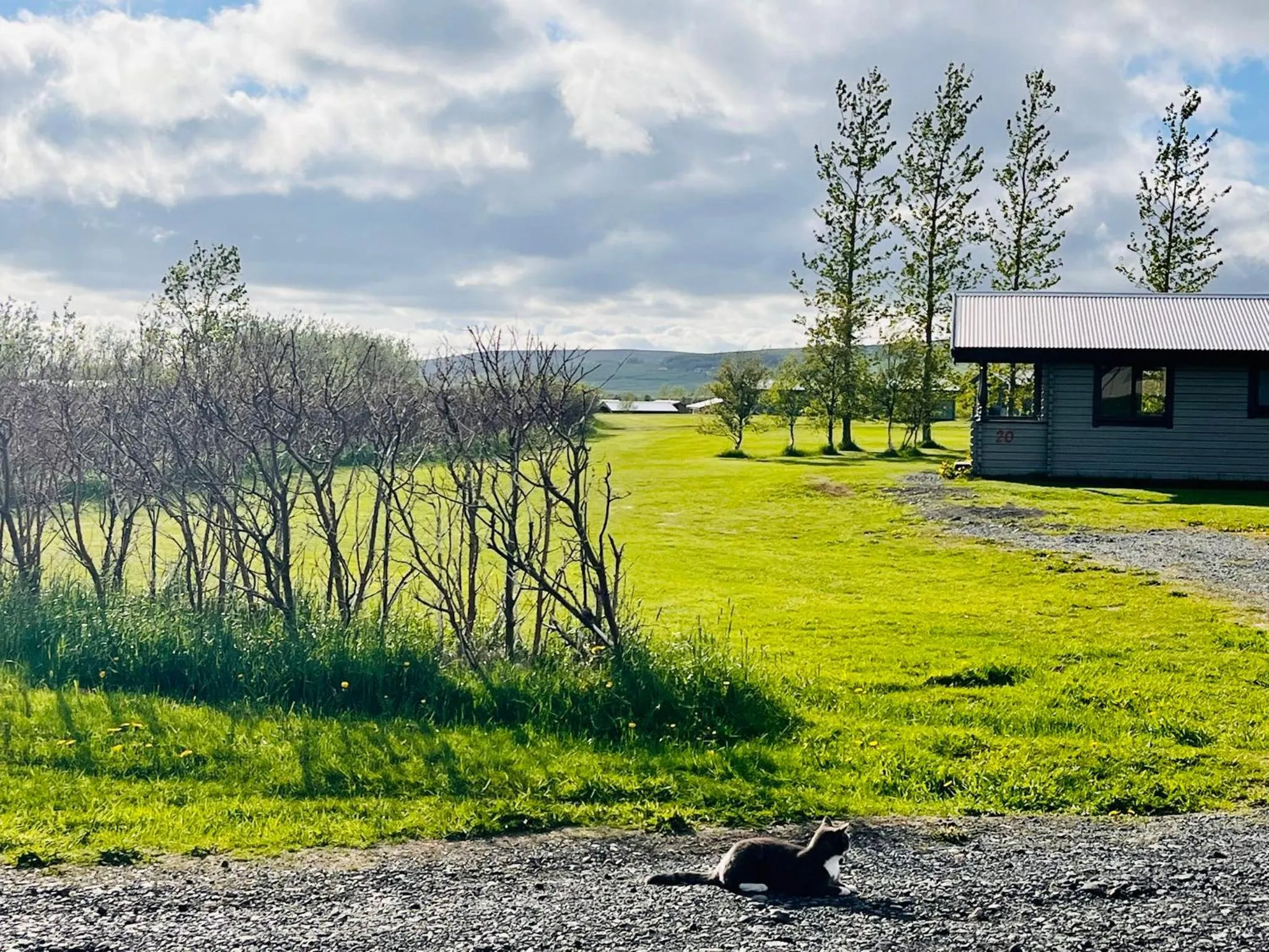 Natural landscape in Hellisholar Cottages