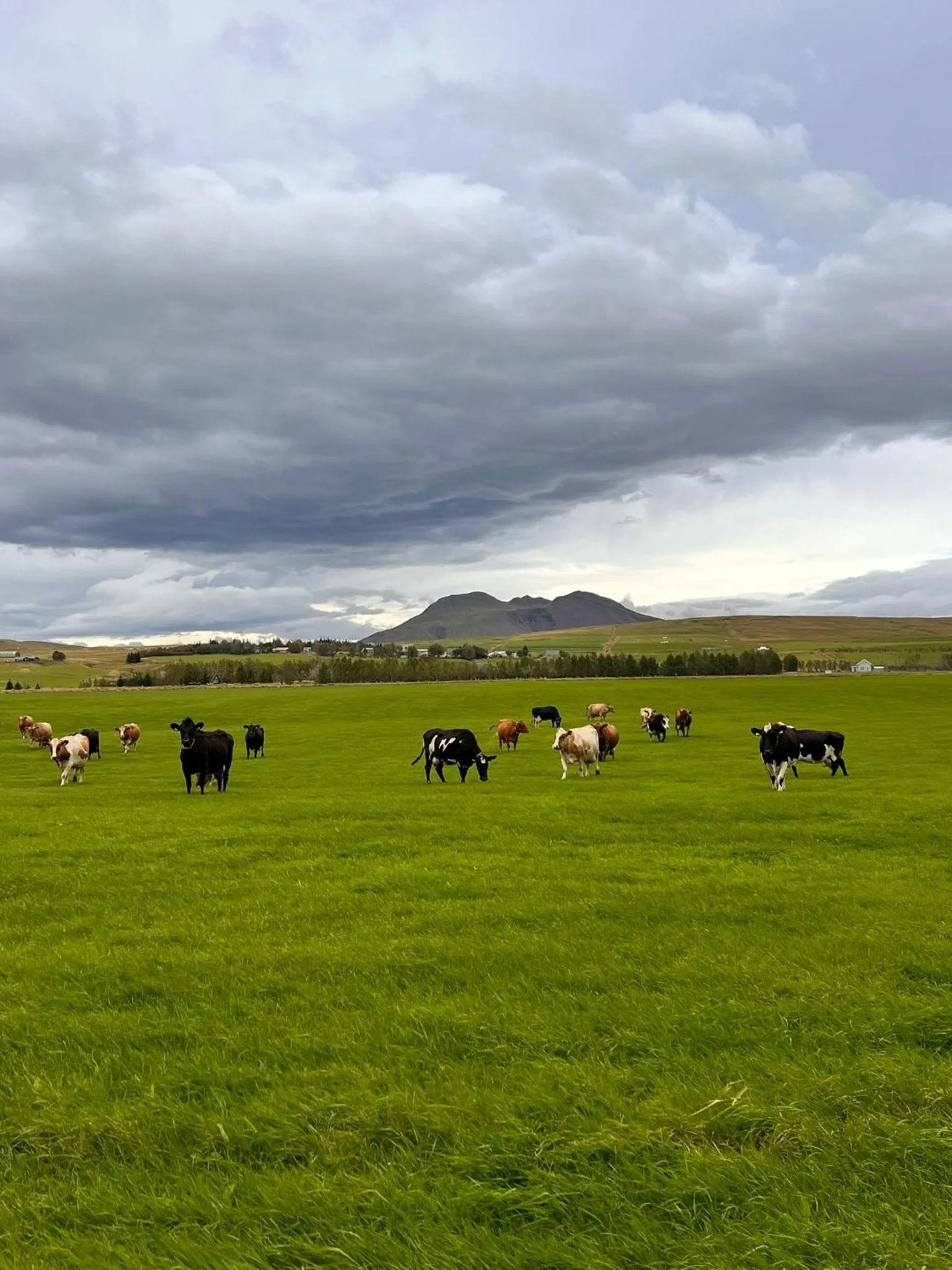 Other in Hellisholar Cottages