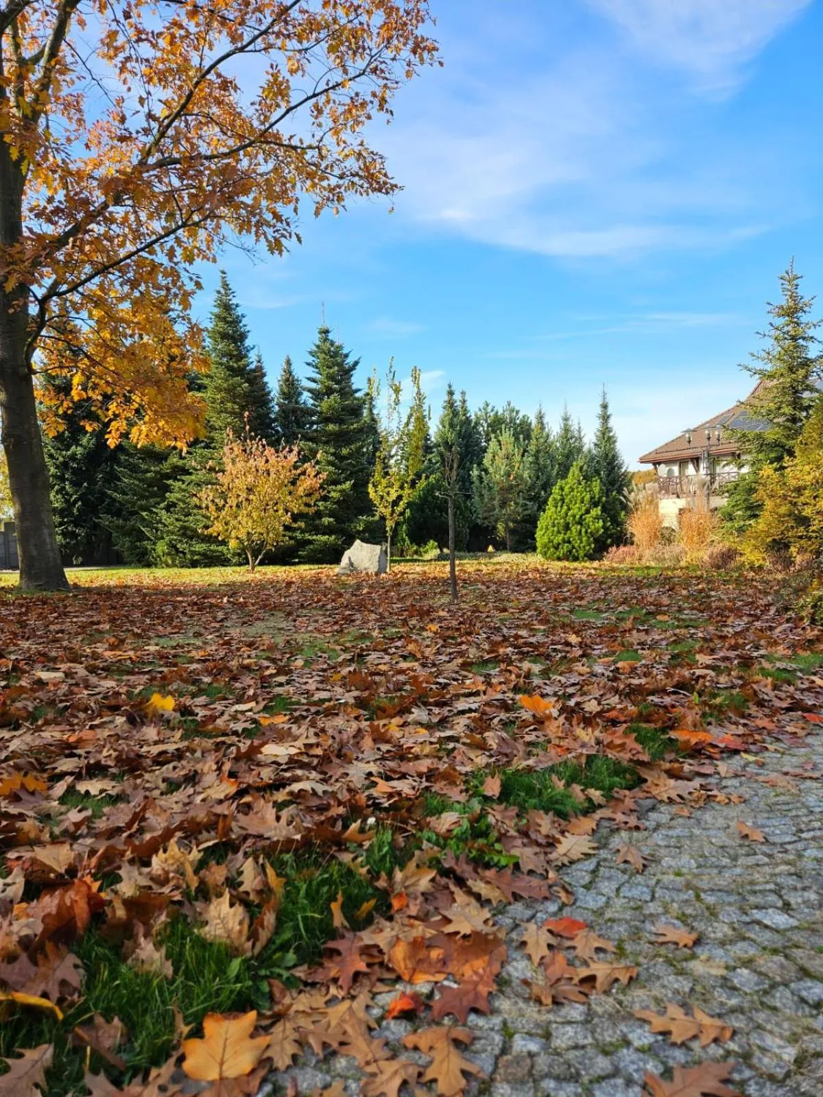 Natural landscape in Hotel & Restauracja Timberland