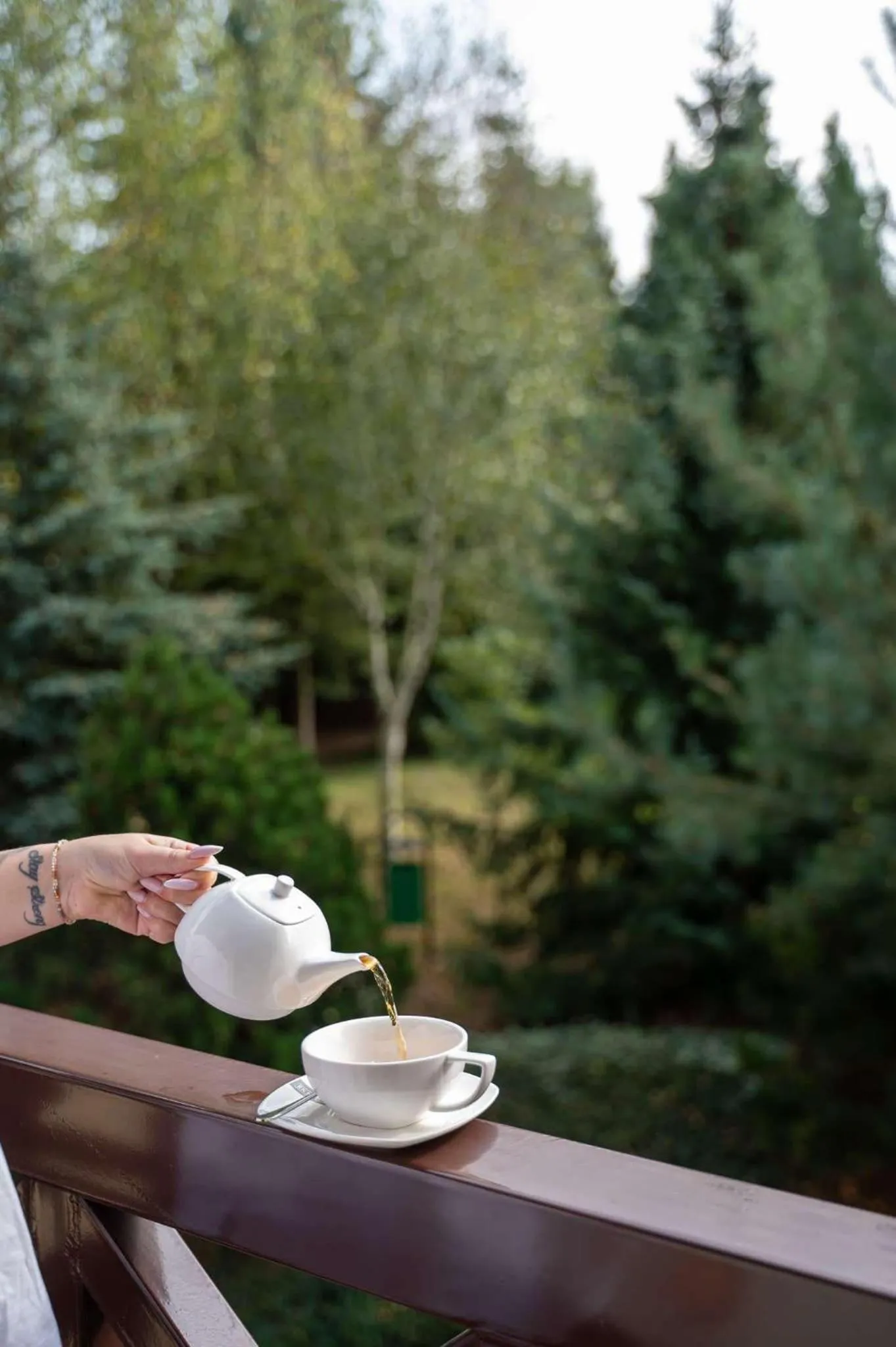 Natural landscape in Hotel & Restauracja Timberland