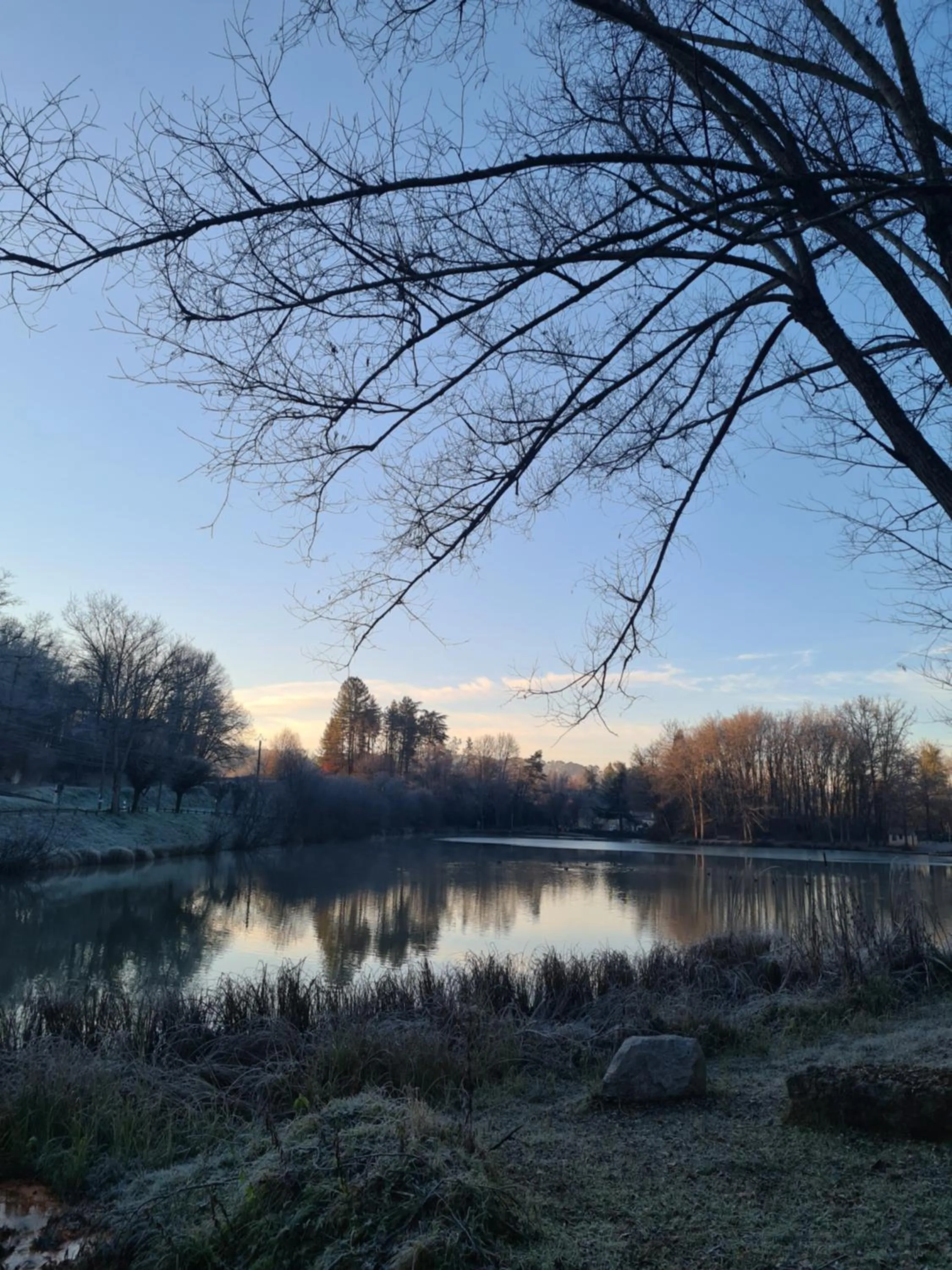 Natural landscape in La Perle De Frayssinet-Le-Gélat - Chambre d'Hôtes - B&B
