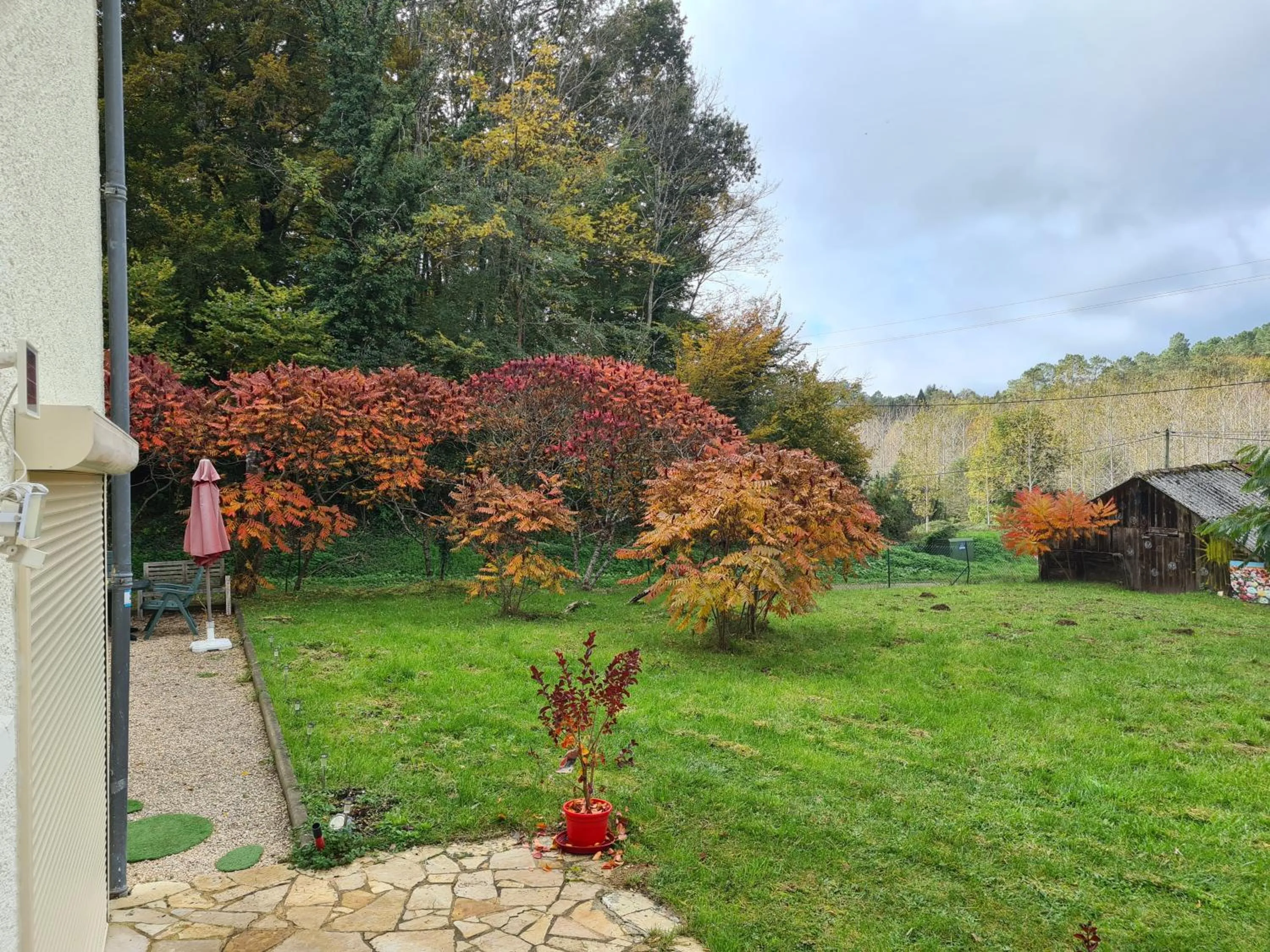 Garden in La Perle De Frayssinet-Le-Gélat - Chambre d'Hôtes - B&B