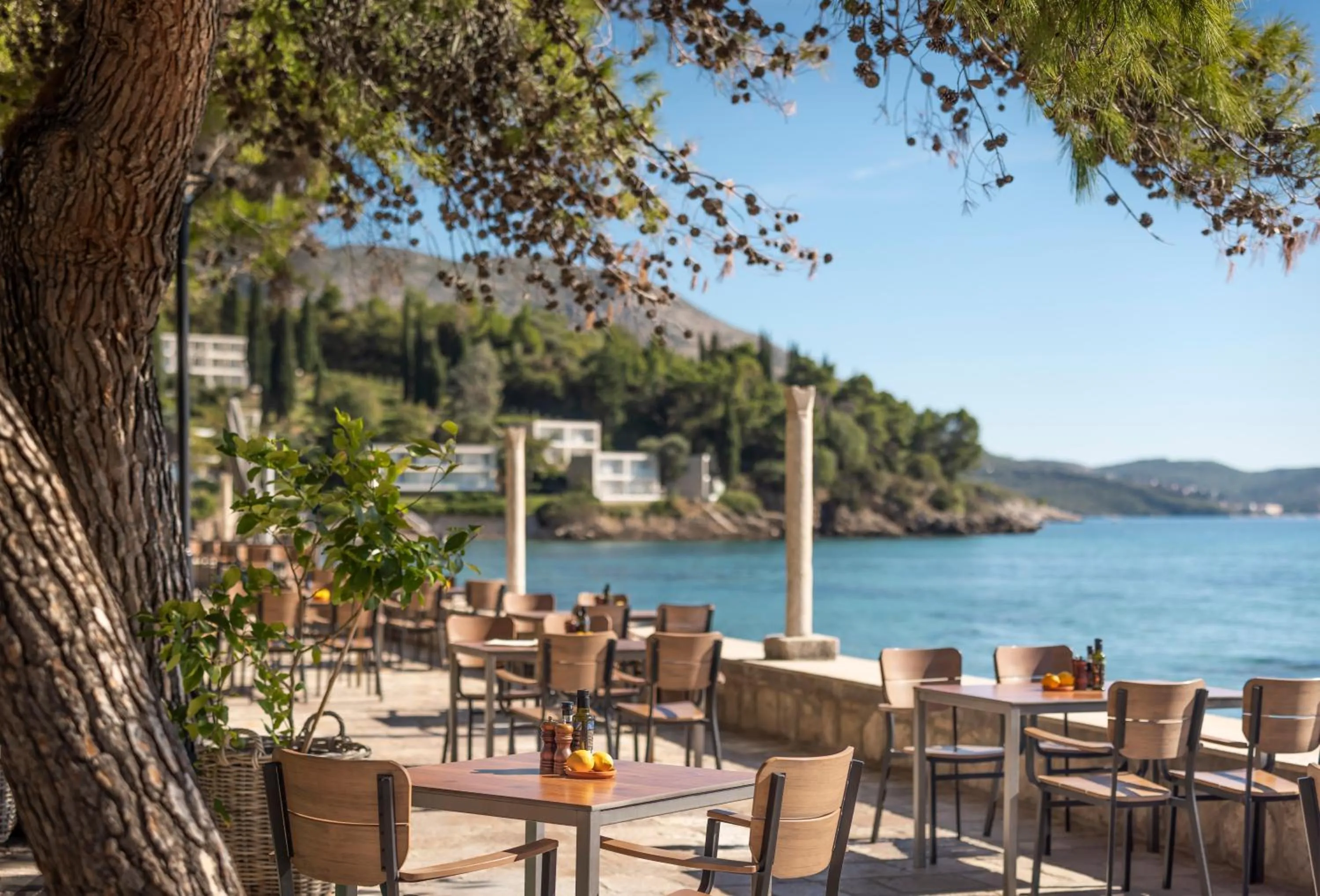 Restaurant/places to eat in Maistra Select Mlini Villas and Apartments