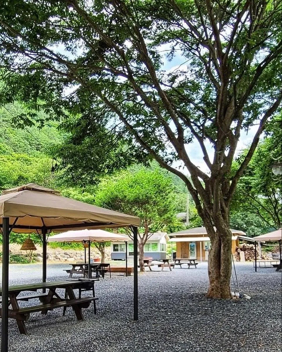 BBQ facilities in Fresh Hill