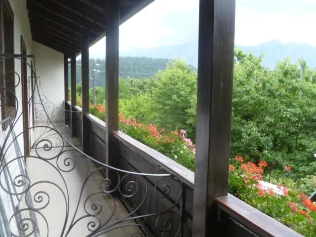 Balcony/Terrace in Albergo Negritella