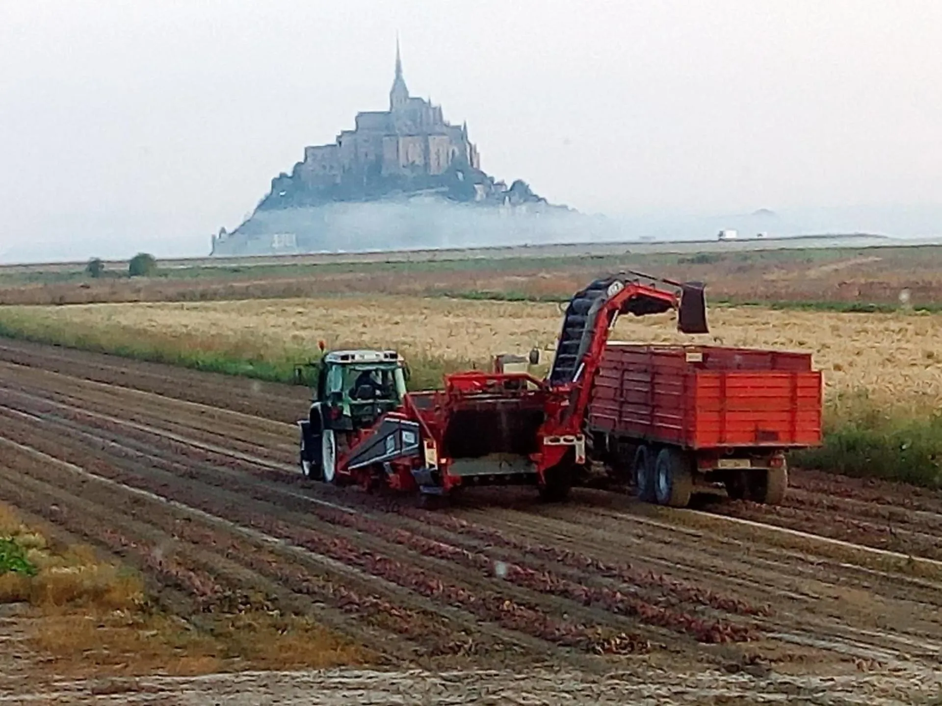View (from property/room) in La Jacotière