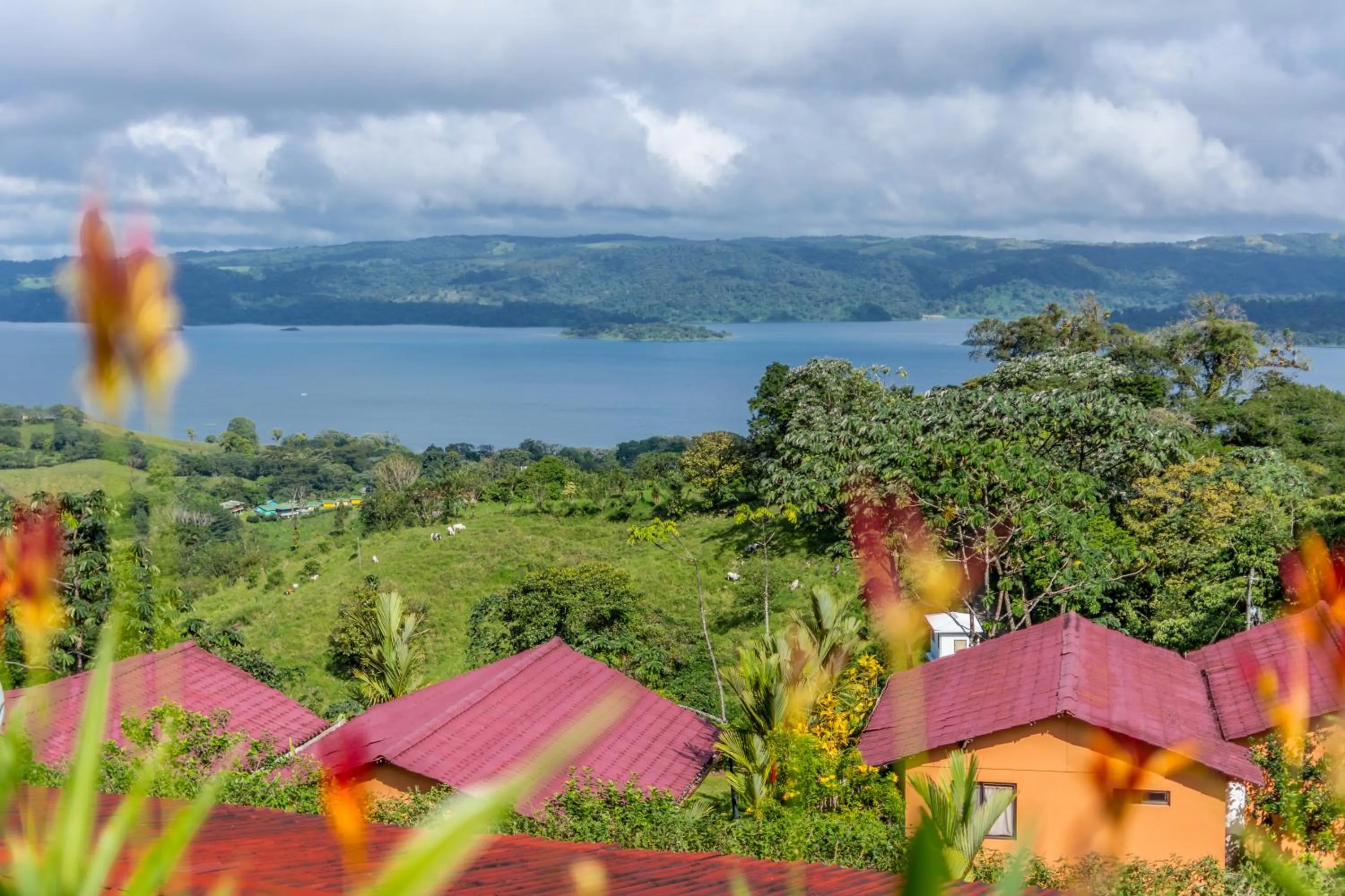Natural landscape in Hotel Nepenthe B&B