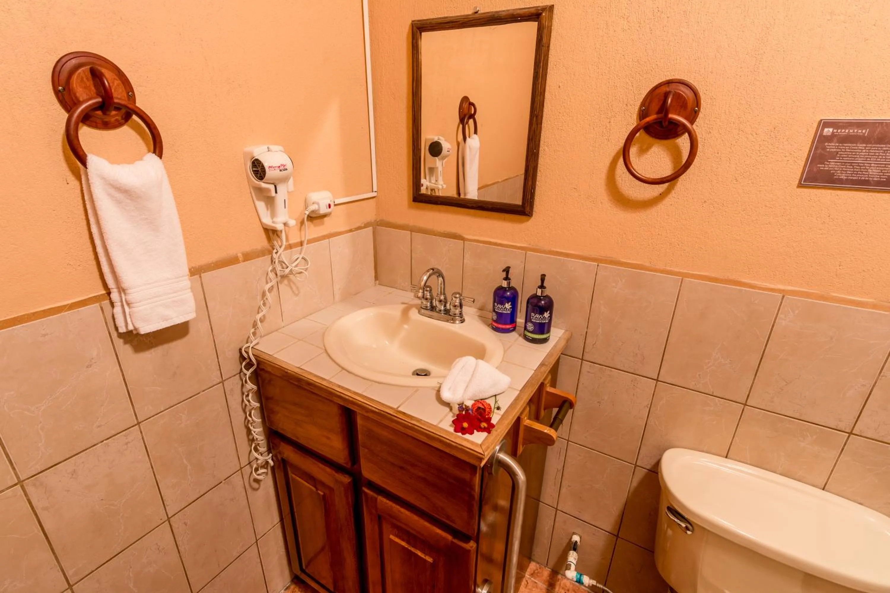 Shower in Hotel Nepenthe B&B