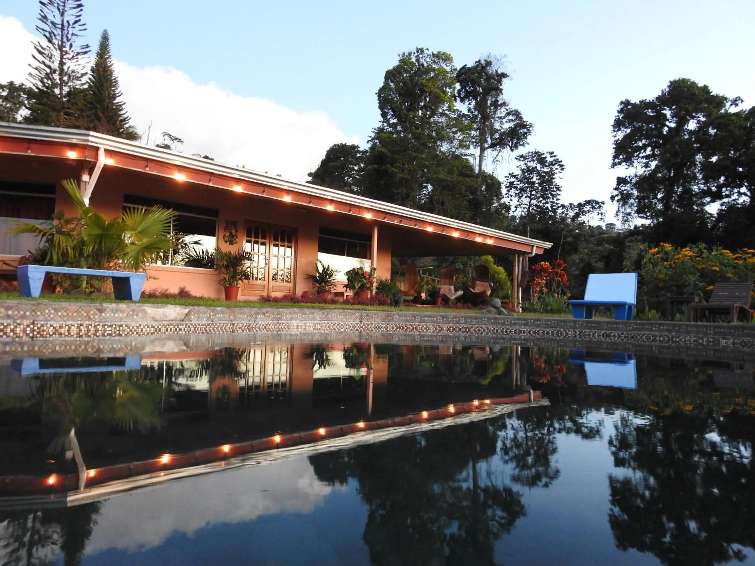 Area and facilities in Hotel Nepenthe B&B