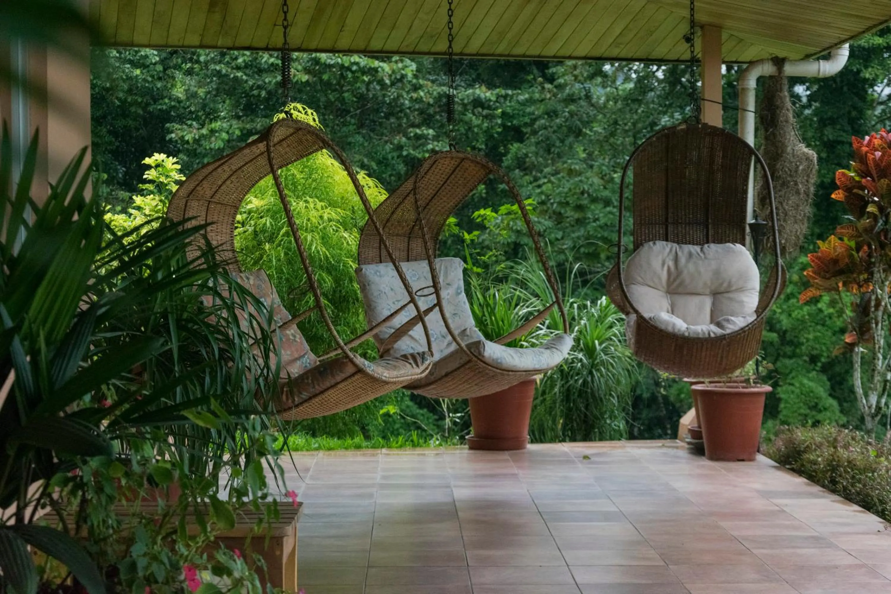 Property building in Hotel Nepenthe B&B