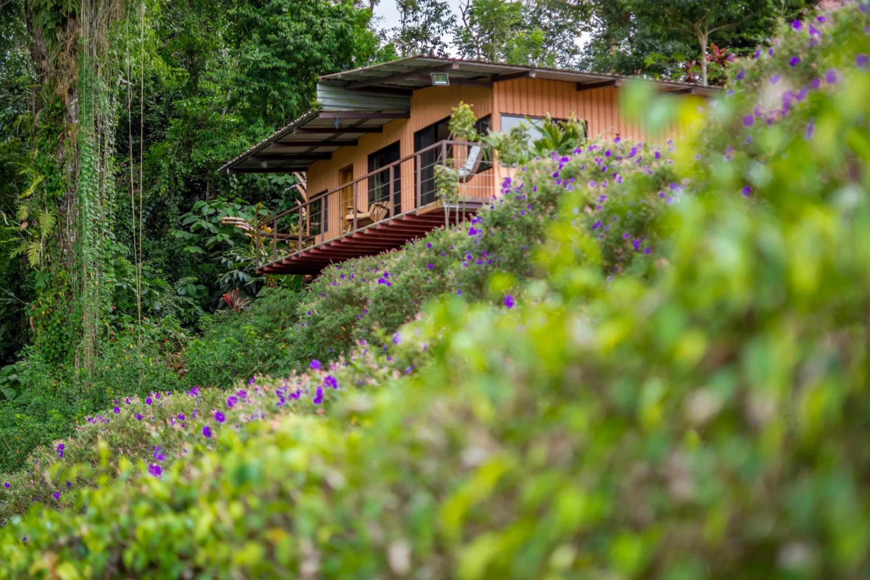 Property building in Hotel Nepenthe B&B