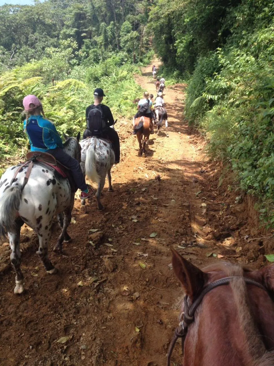 Horse-riding in Hotel Nepenthe B&B
