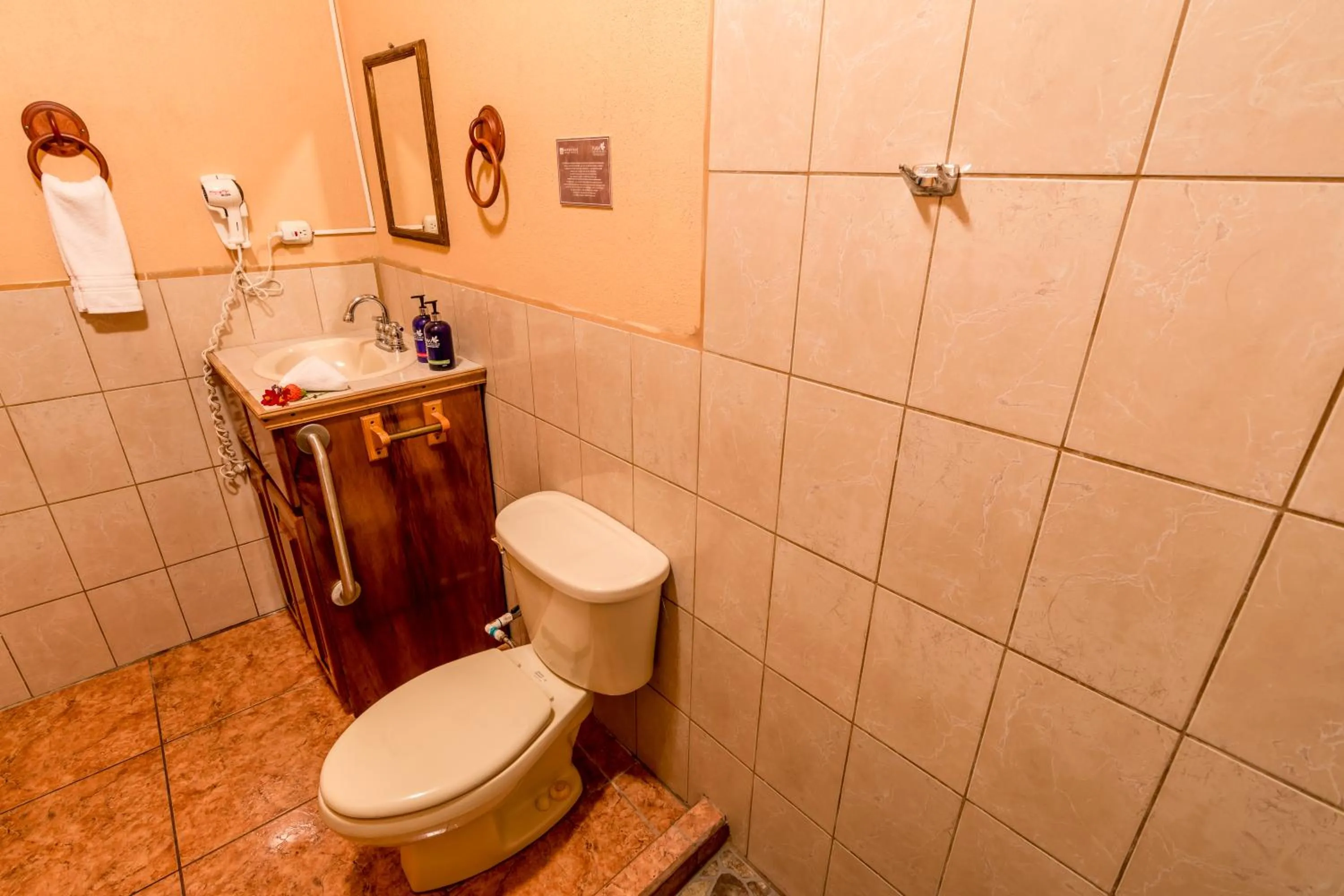 Toilet in Hotel Nepenthe B&B