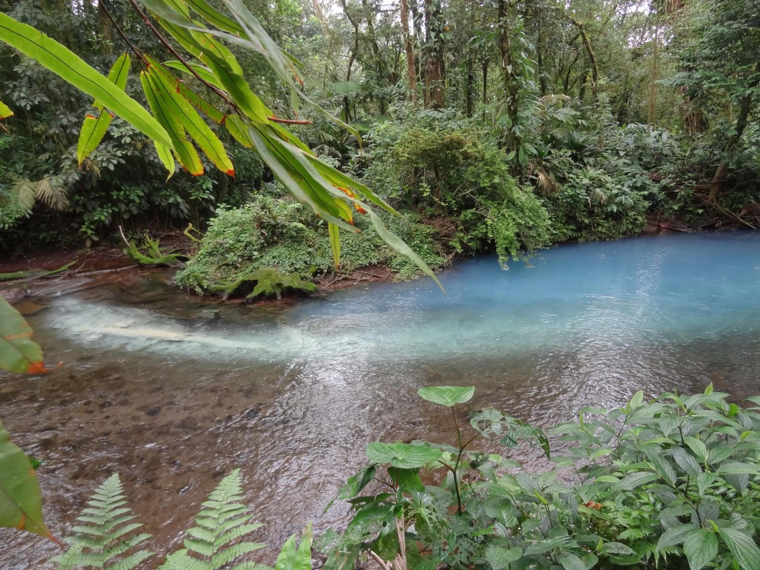 Activities in Hotel Rio Celeste Finca L´ Etoile Celeste