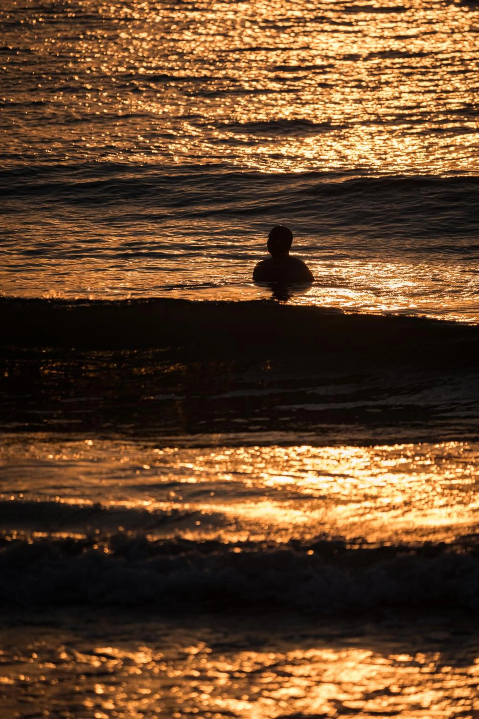 Natural landscape in Riva Mamaia Beach Apart Hotel