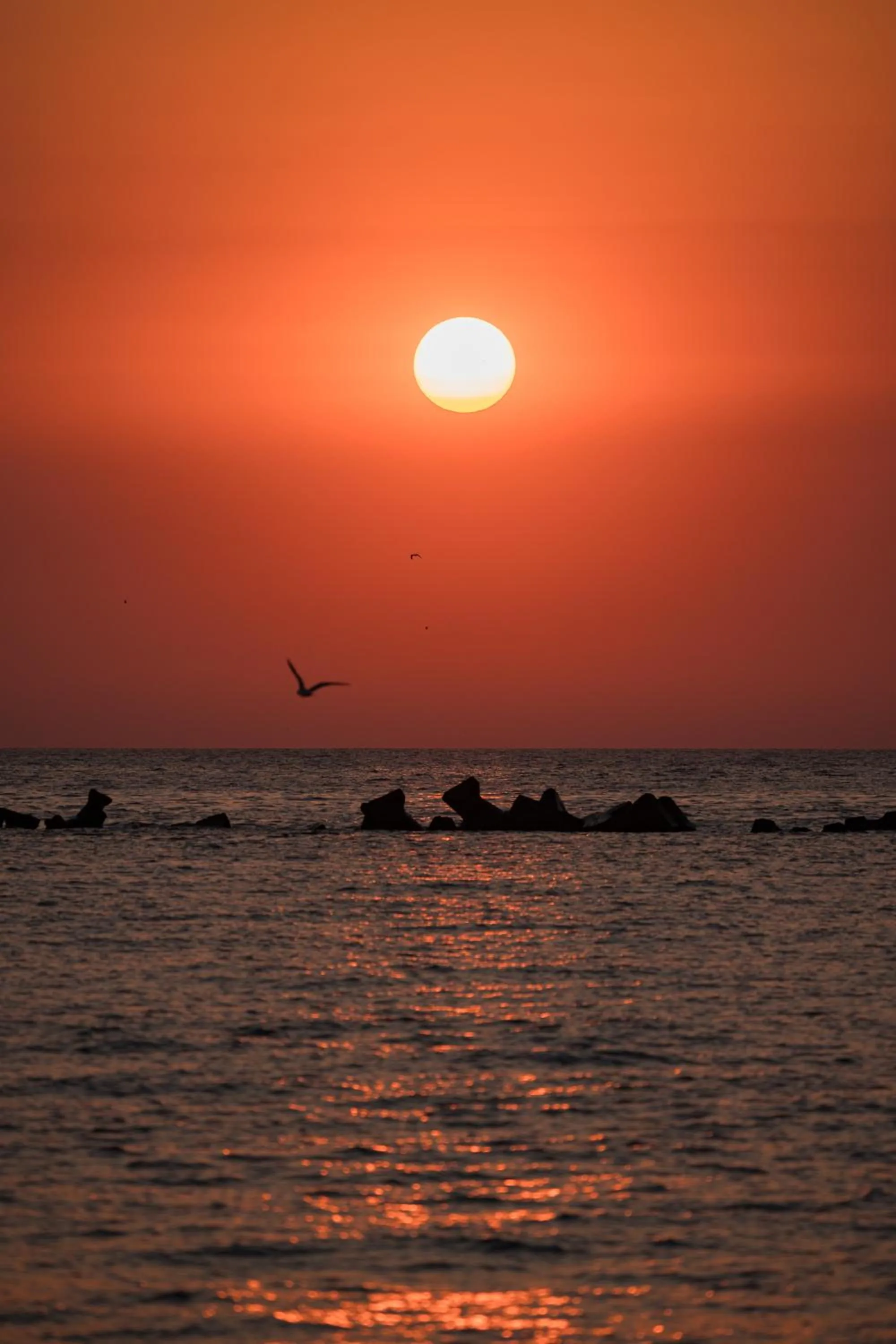 Sunrise in Riva Mamaia Beach Apart Hotel