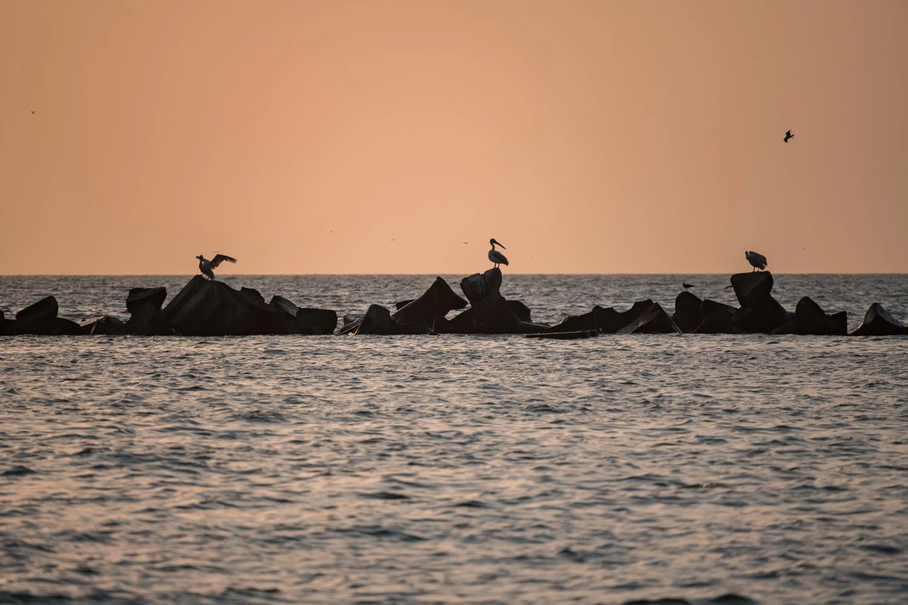 Natural landscape in Riva Mamaia Beach Apart Hotel
