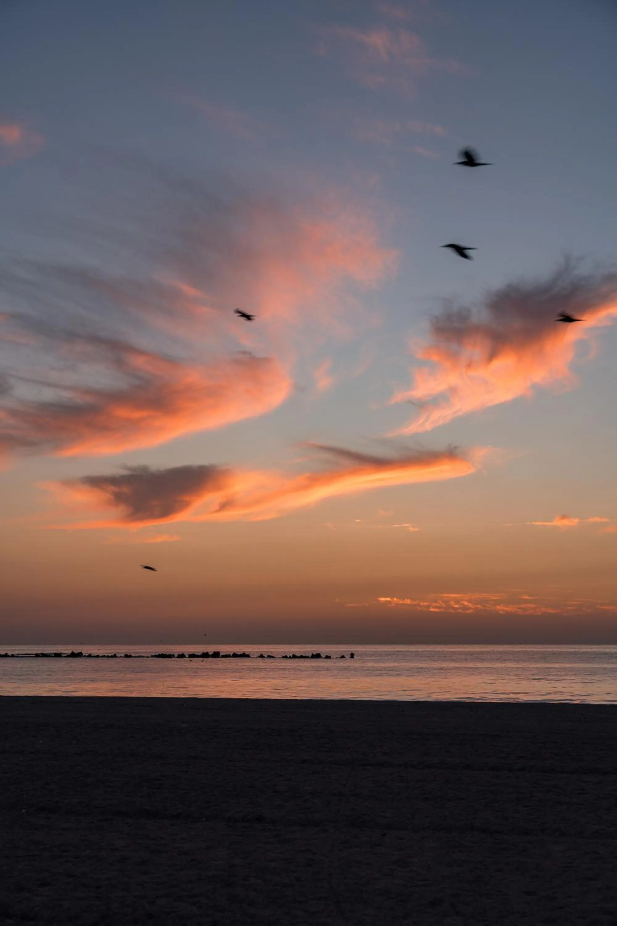 Natural landscape in Riva Mamaia Beach Apart Hotel