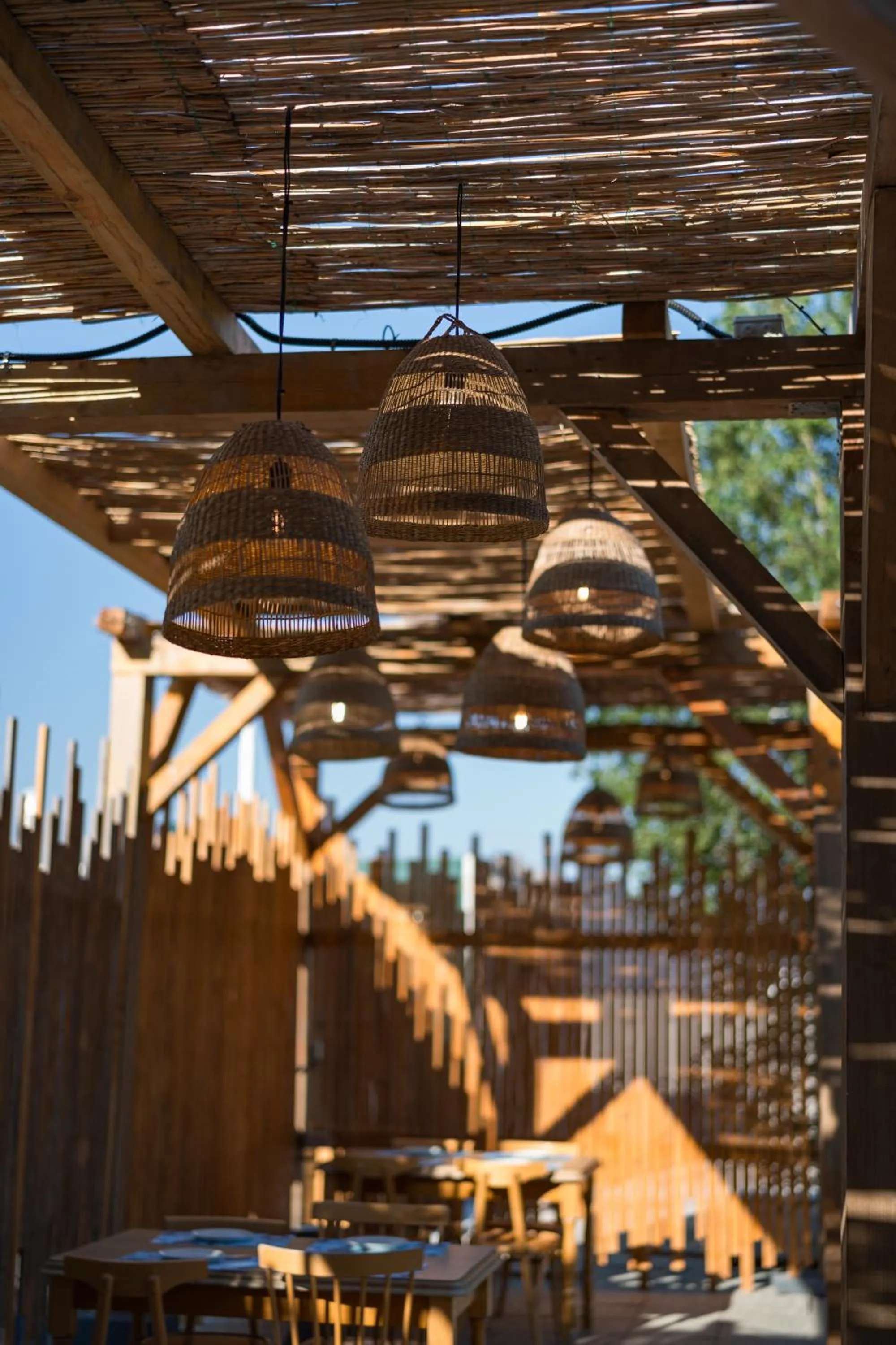 Restaurant/places to eat in Riva Mamaia Beach Apart Hotel