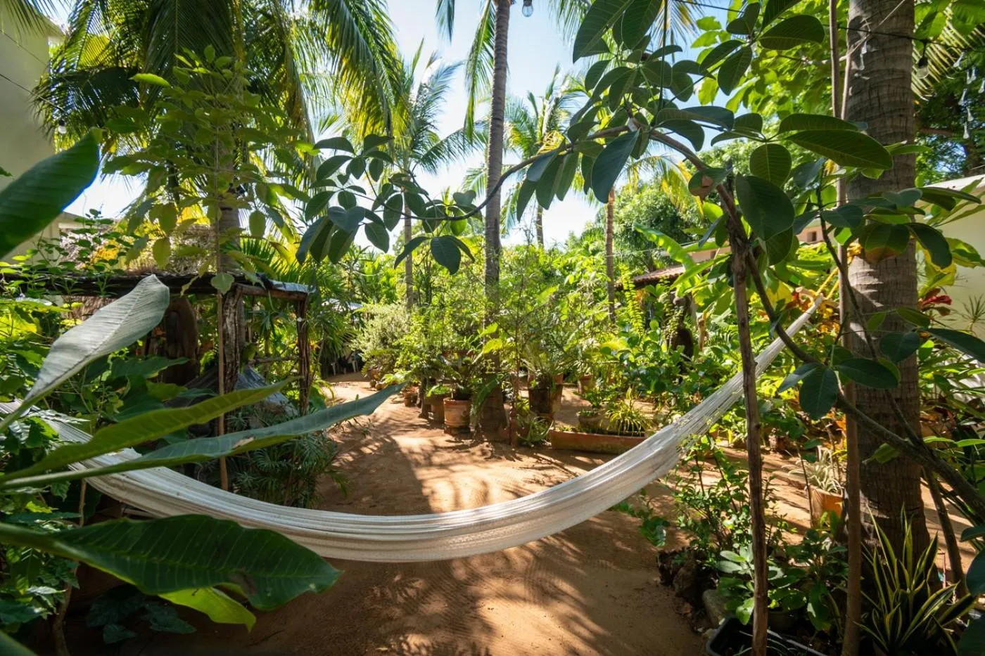 Hotel Villa Mozart y Macondo