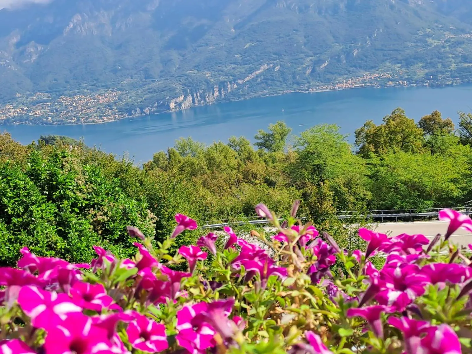 Balcony/Terrace in Bed & Breakfast Bellagio