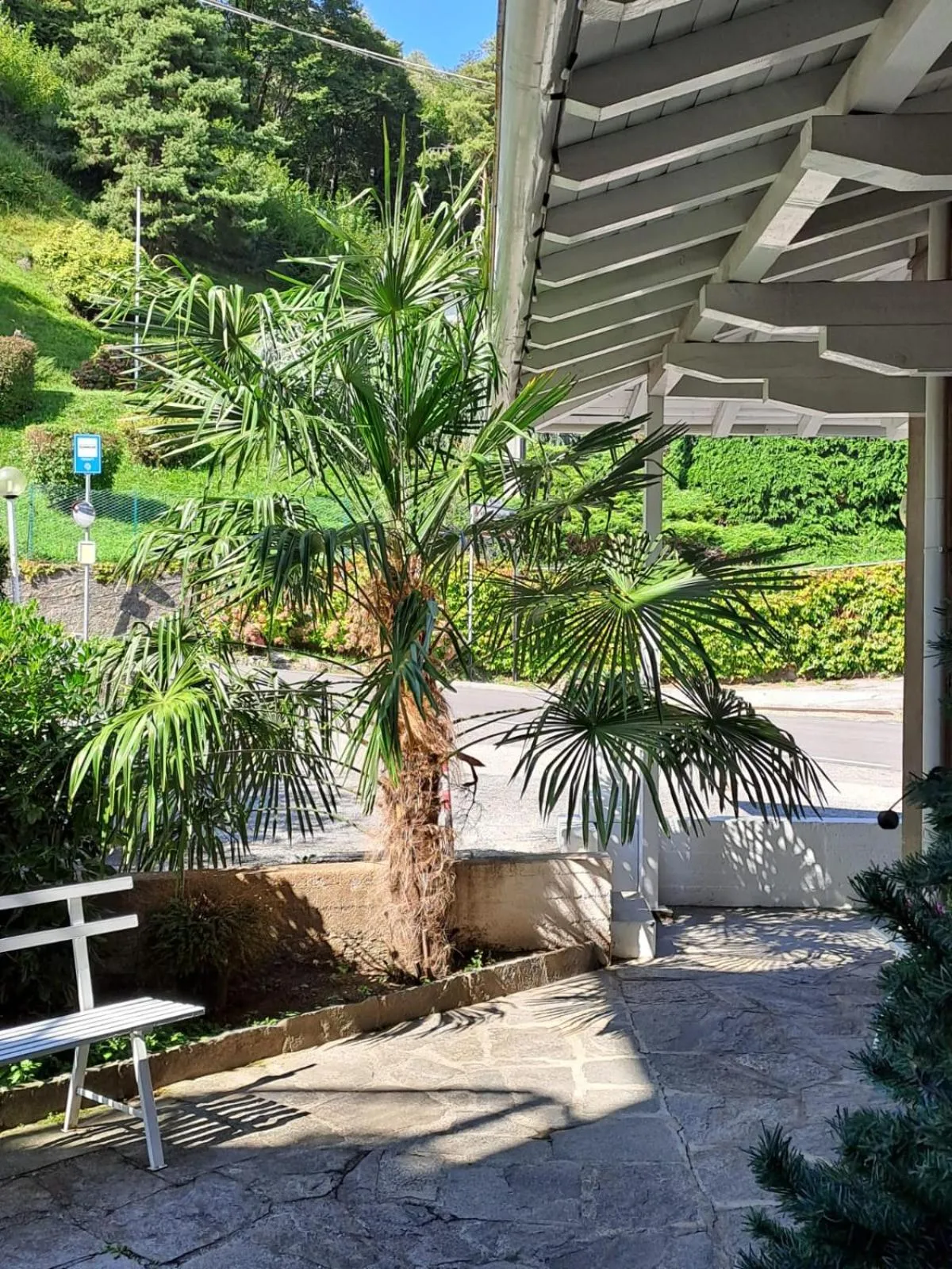 Garden in Bed & Breakfast Bellagio