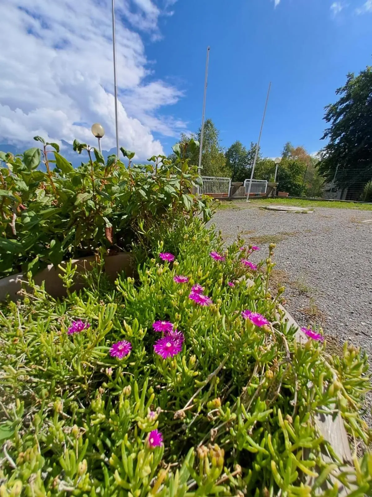 Garden in Bed & Breakfast Bellagio