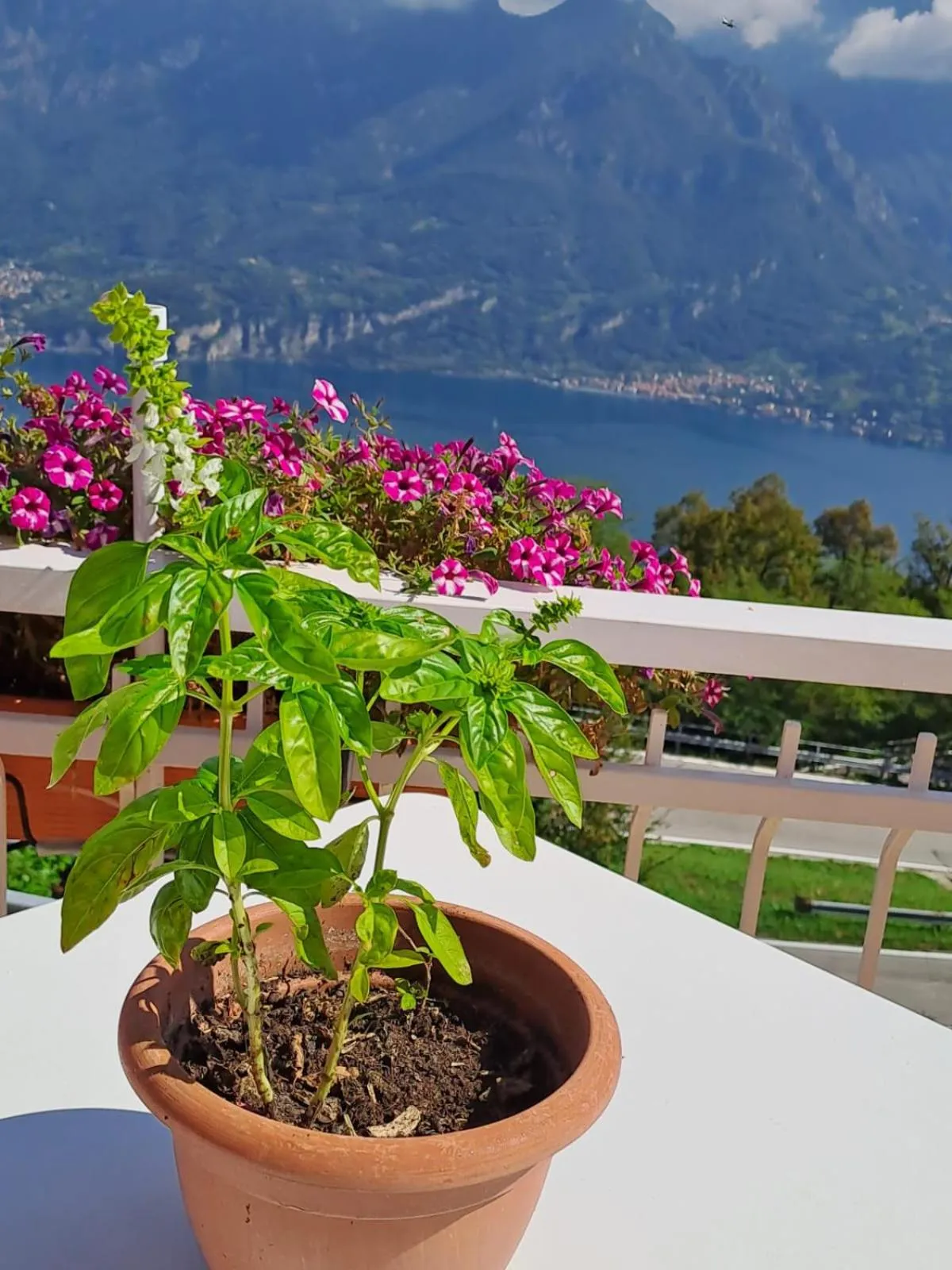 Balcony/Terrace in Bed & Breakfast Bellagio