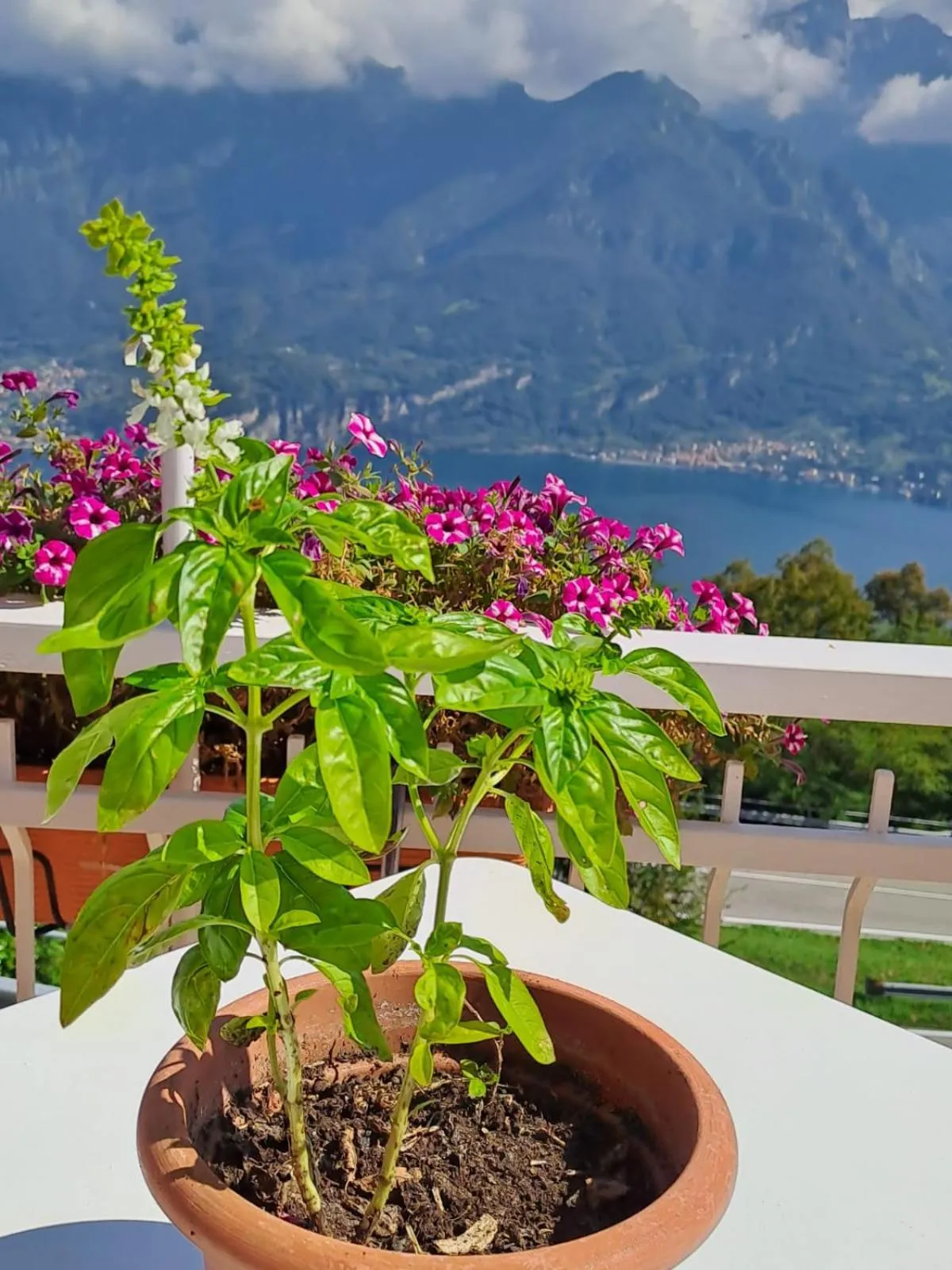 Balcony/Terrace in Bed & Breakfast Bellagio
