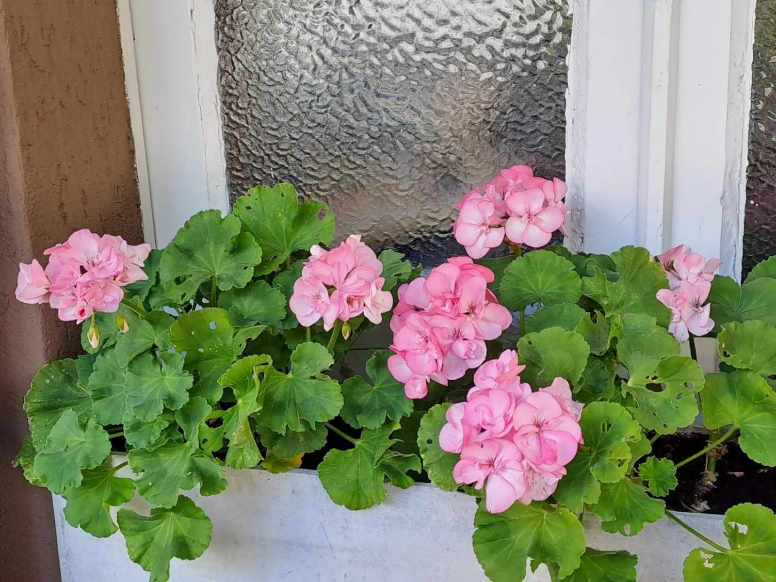 Day in Bed & Breakfast Bellagio