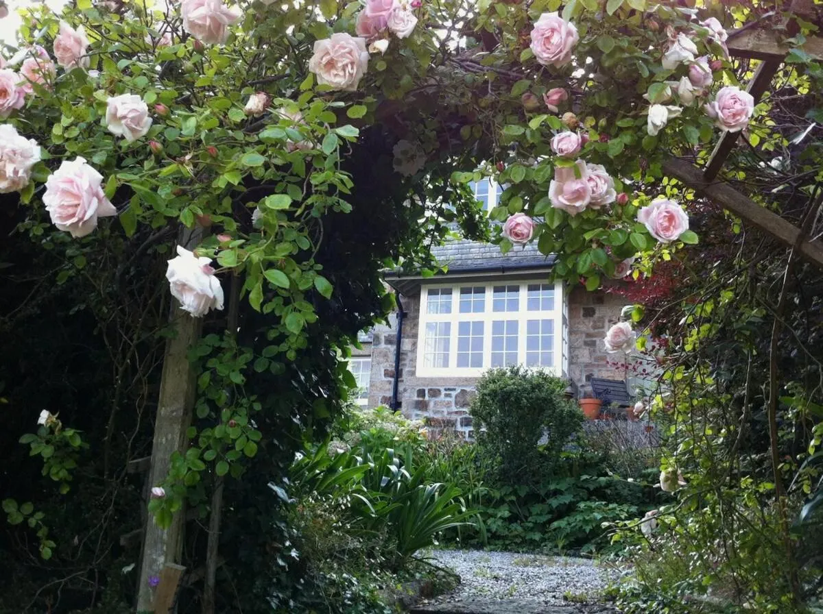 Garden in Penquite Holiday Accommodation