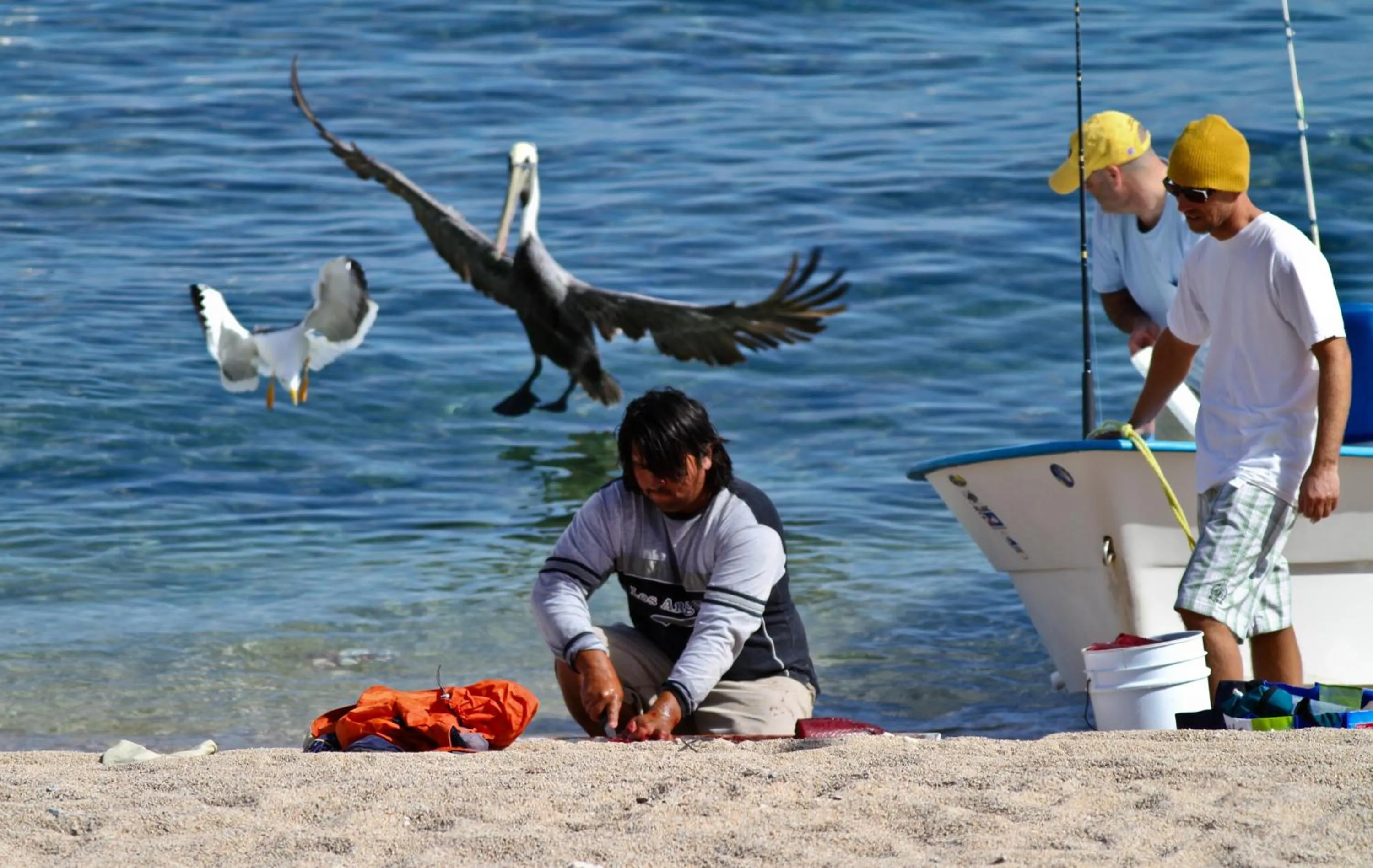 Beach in Ventana Bay Resort