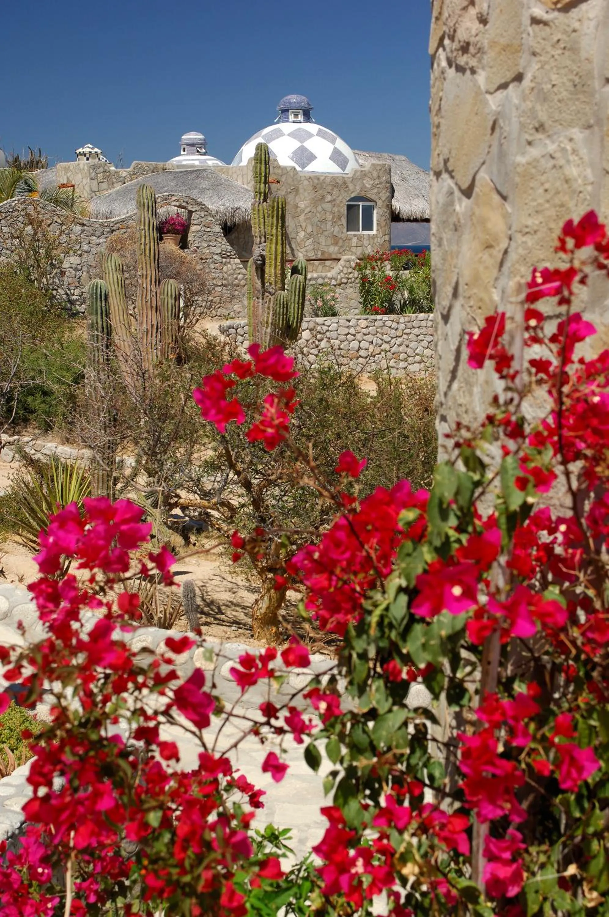 Natural landscape in Ventana Bay Resort