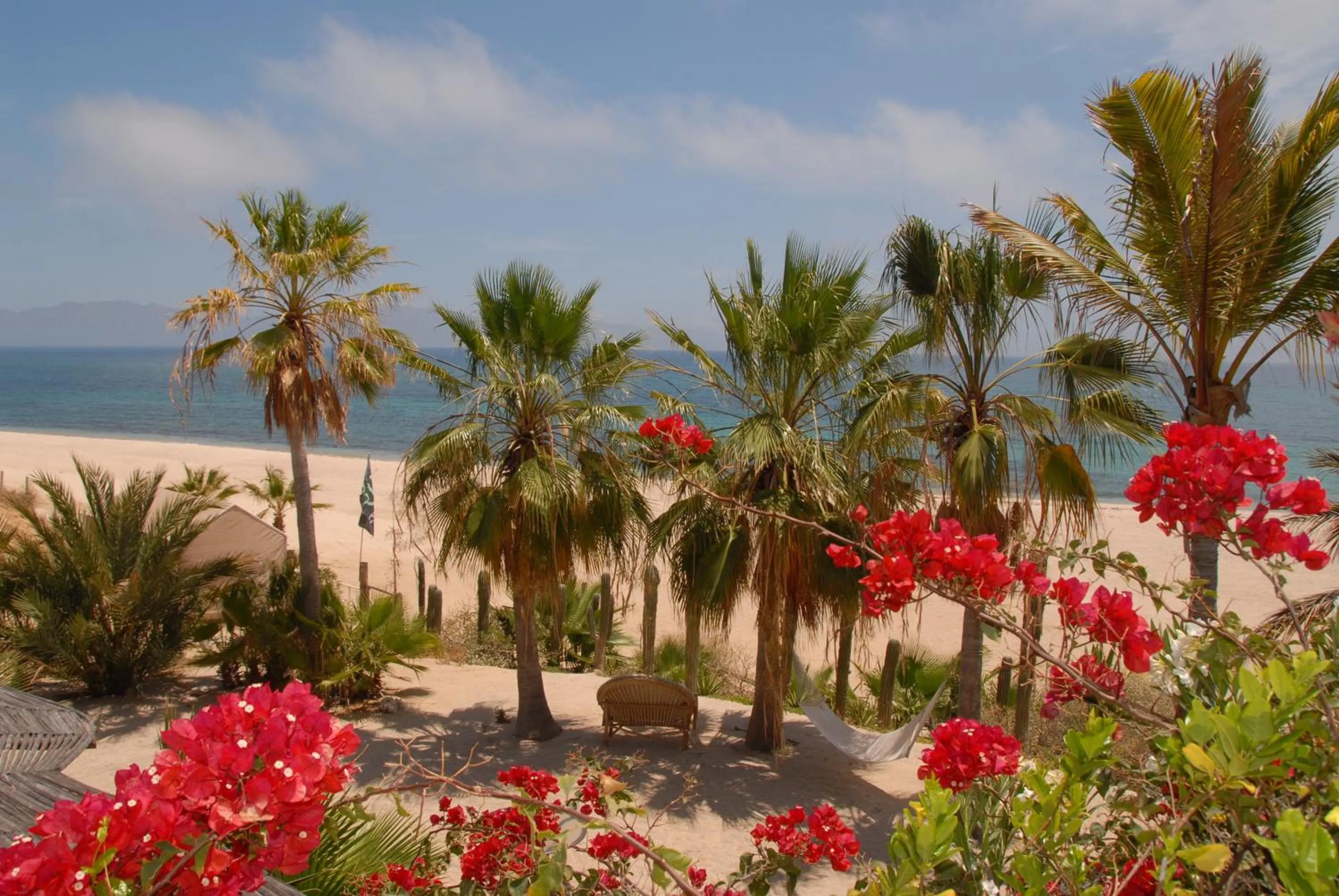 Spring in Ventana Bay Resort