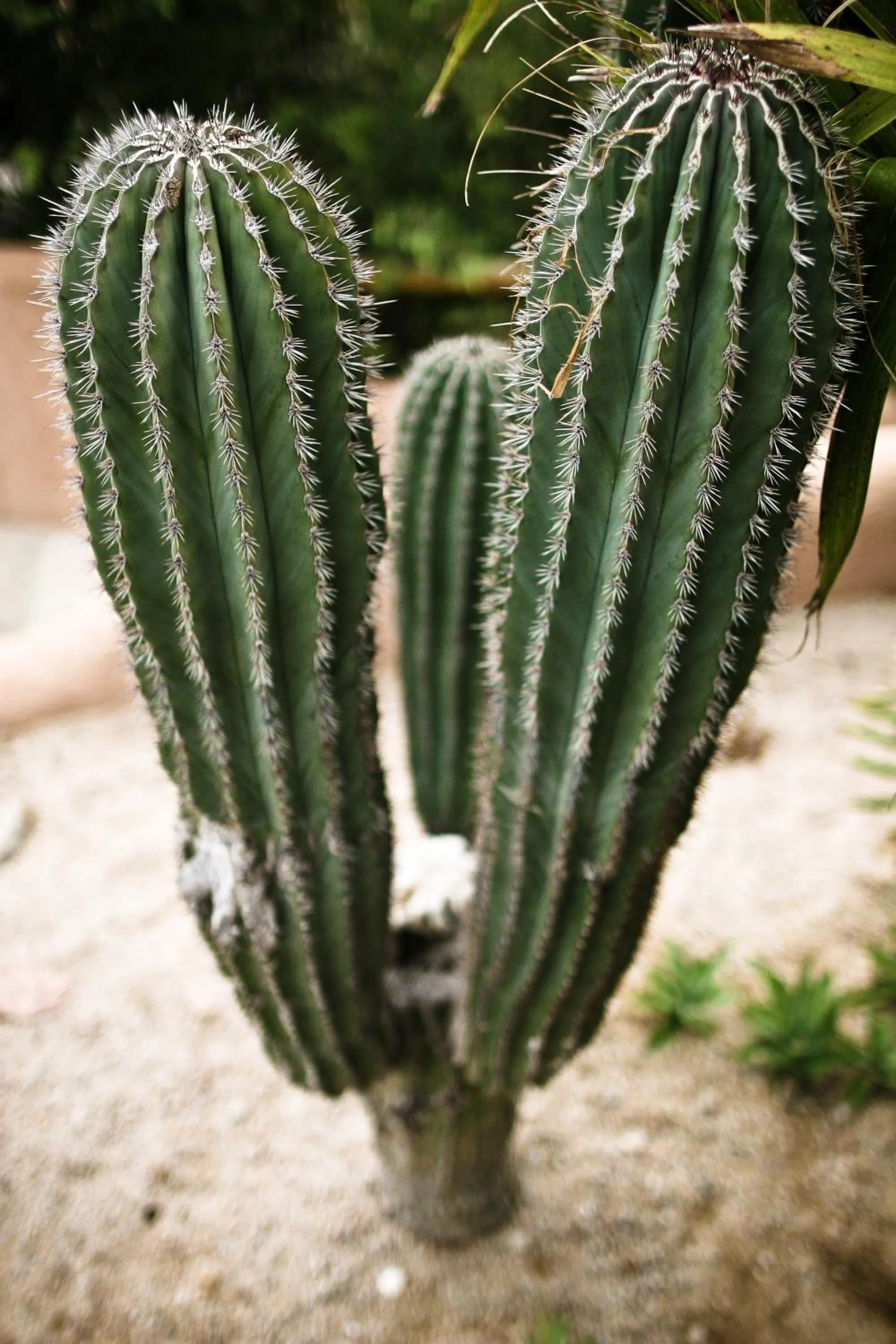 Other in Ventana Bay Resort