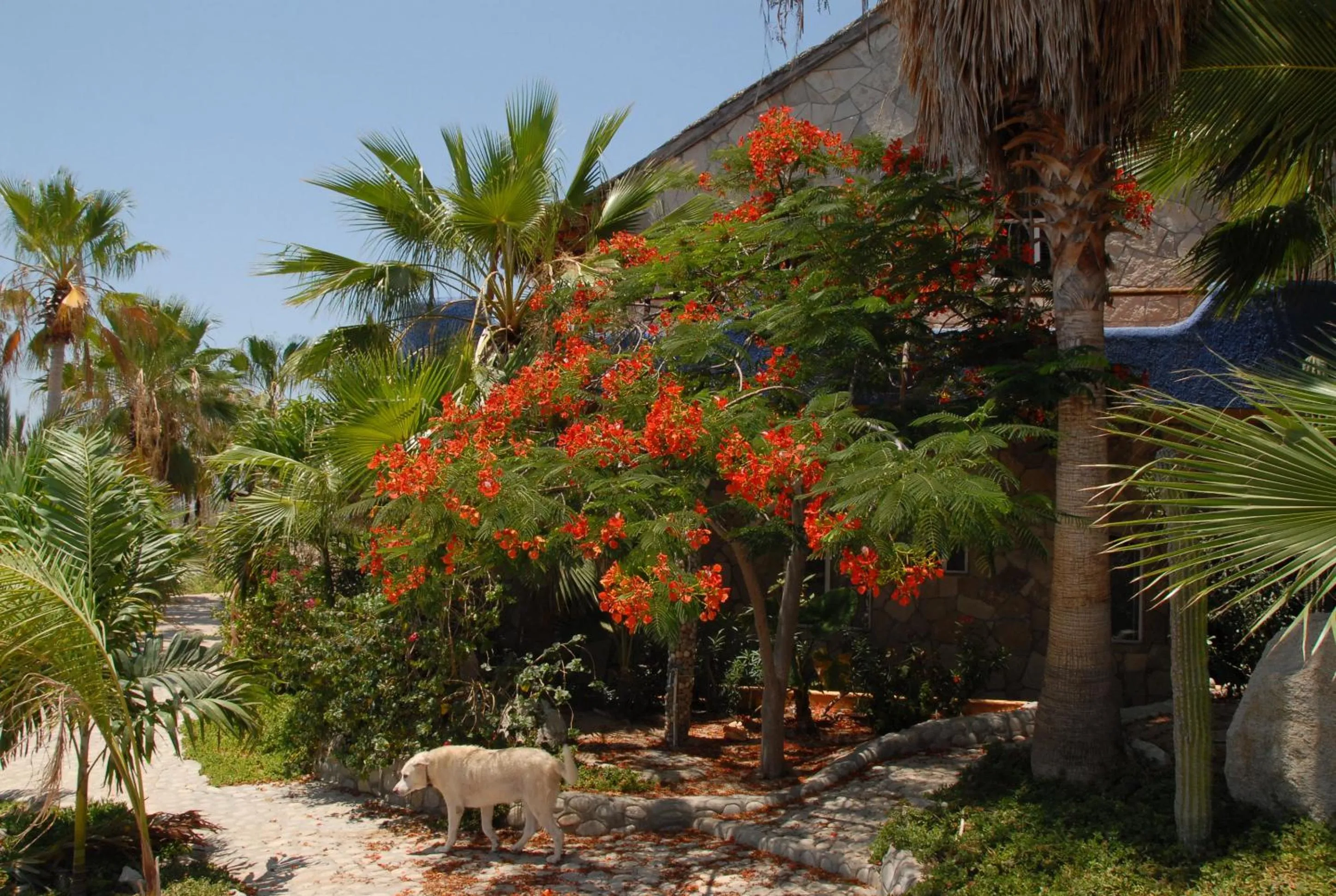 Property building in Ventana Bay Resort