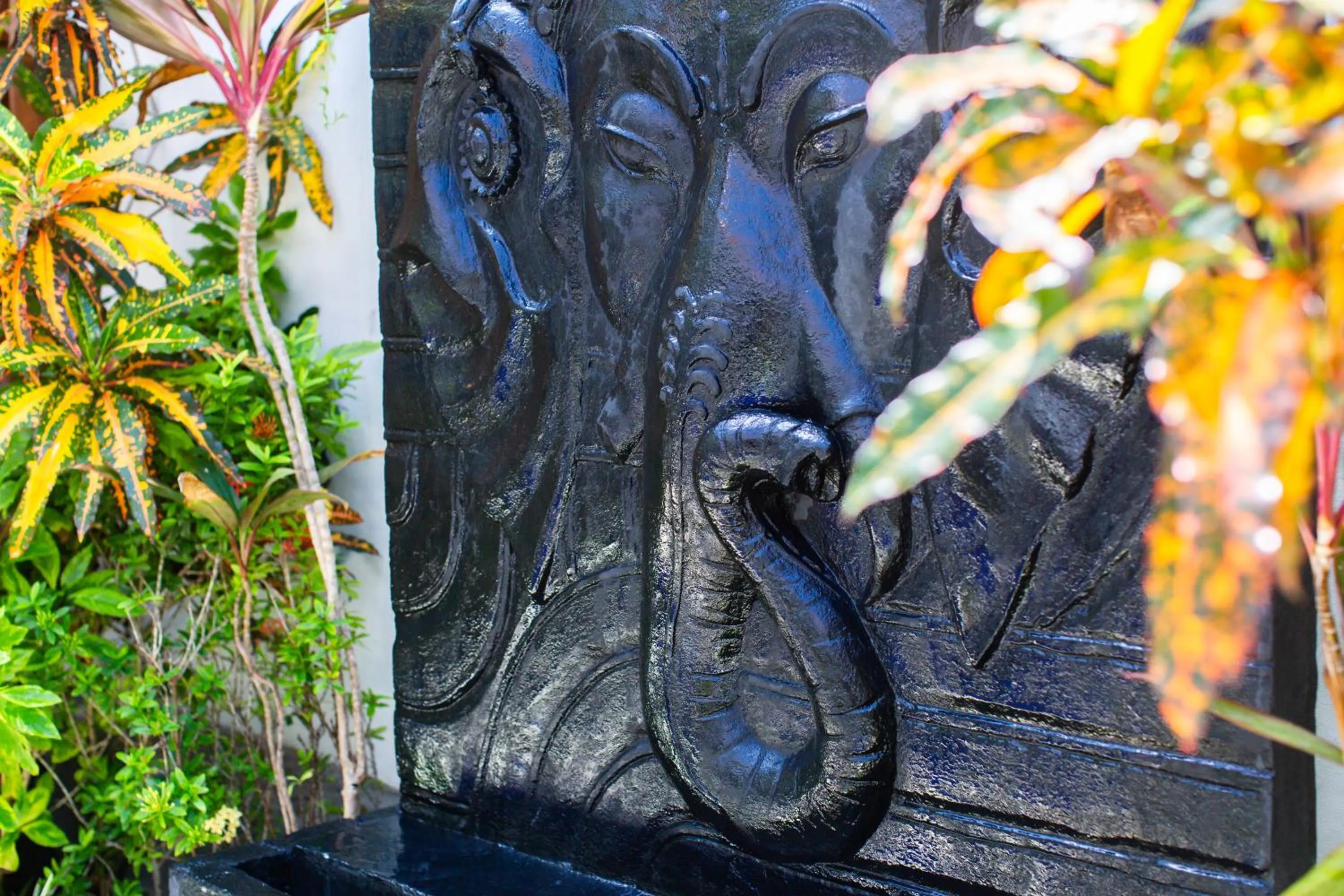 Garden in MasBro ART Villas