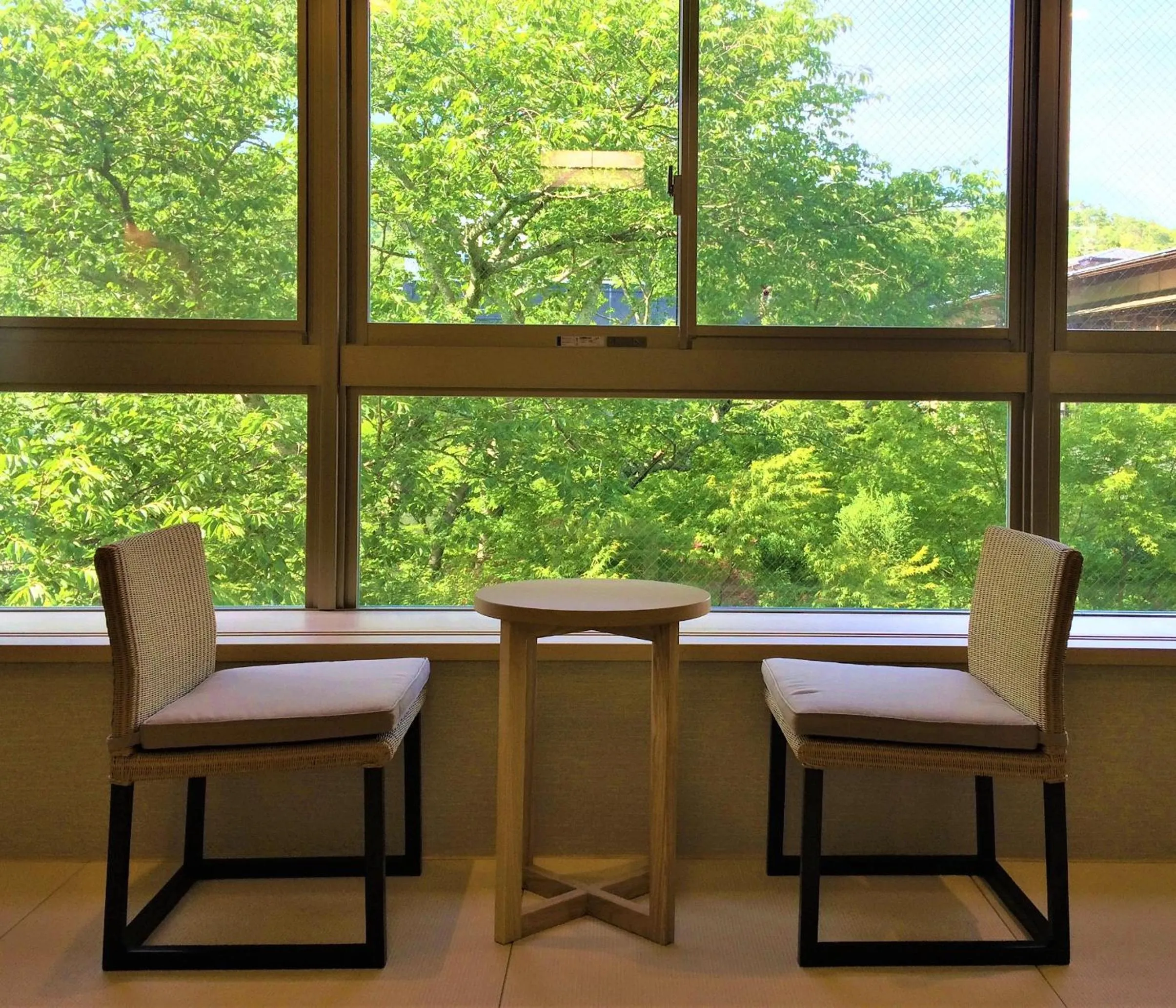 Photo of the whole room in Ryokan Nenrinbo
