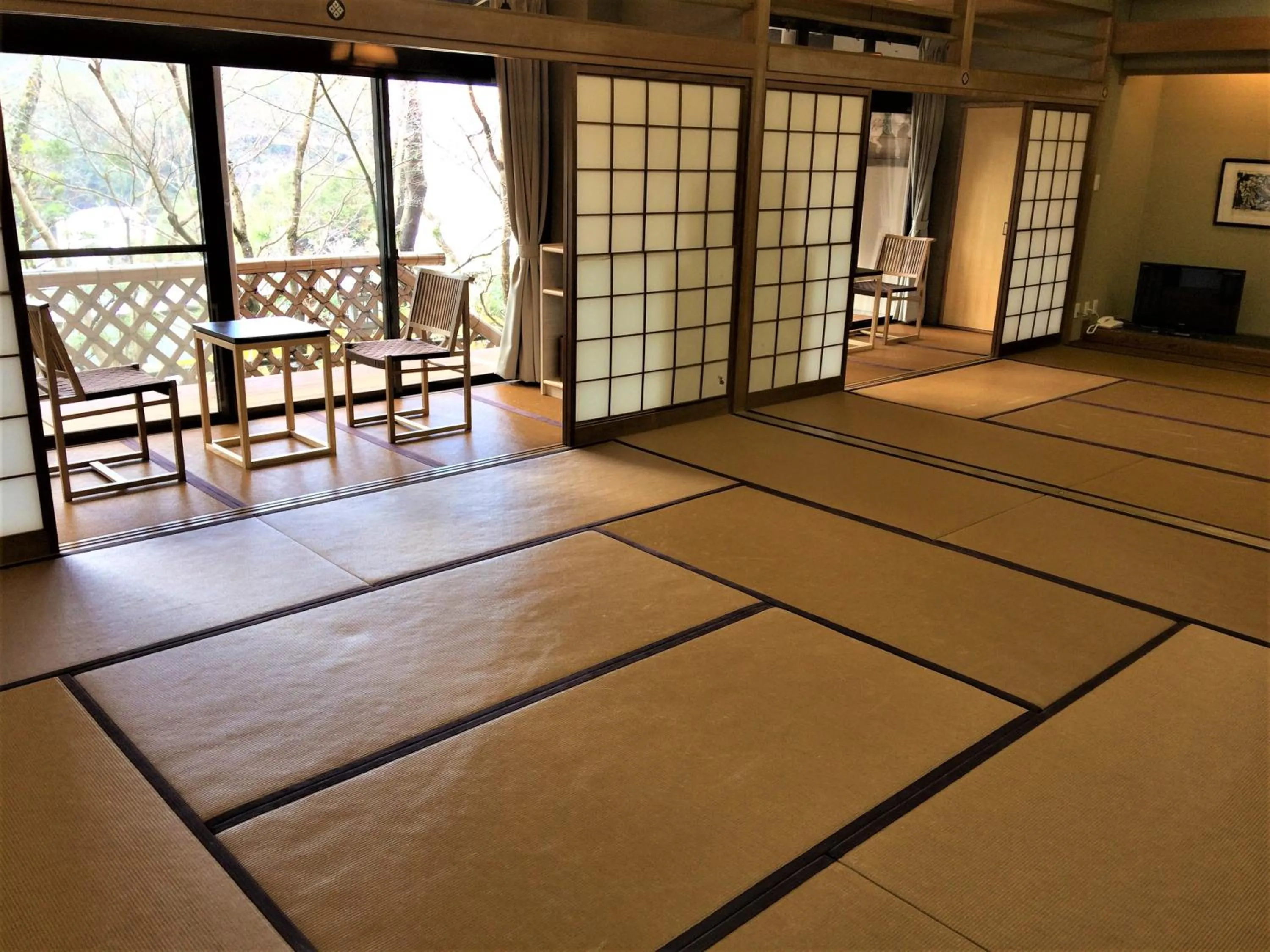 Photo of the whole room in Ryokan Nenrinbo