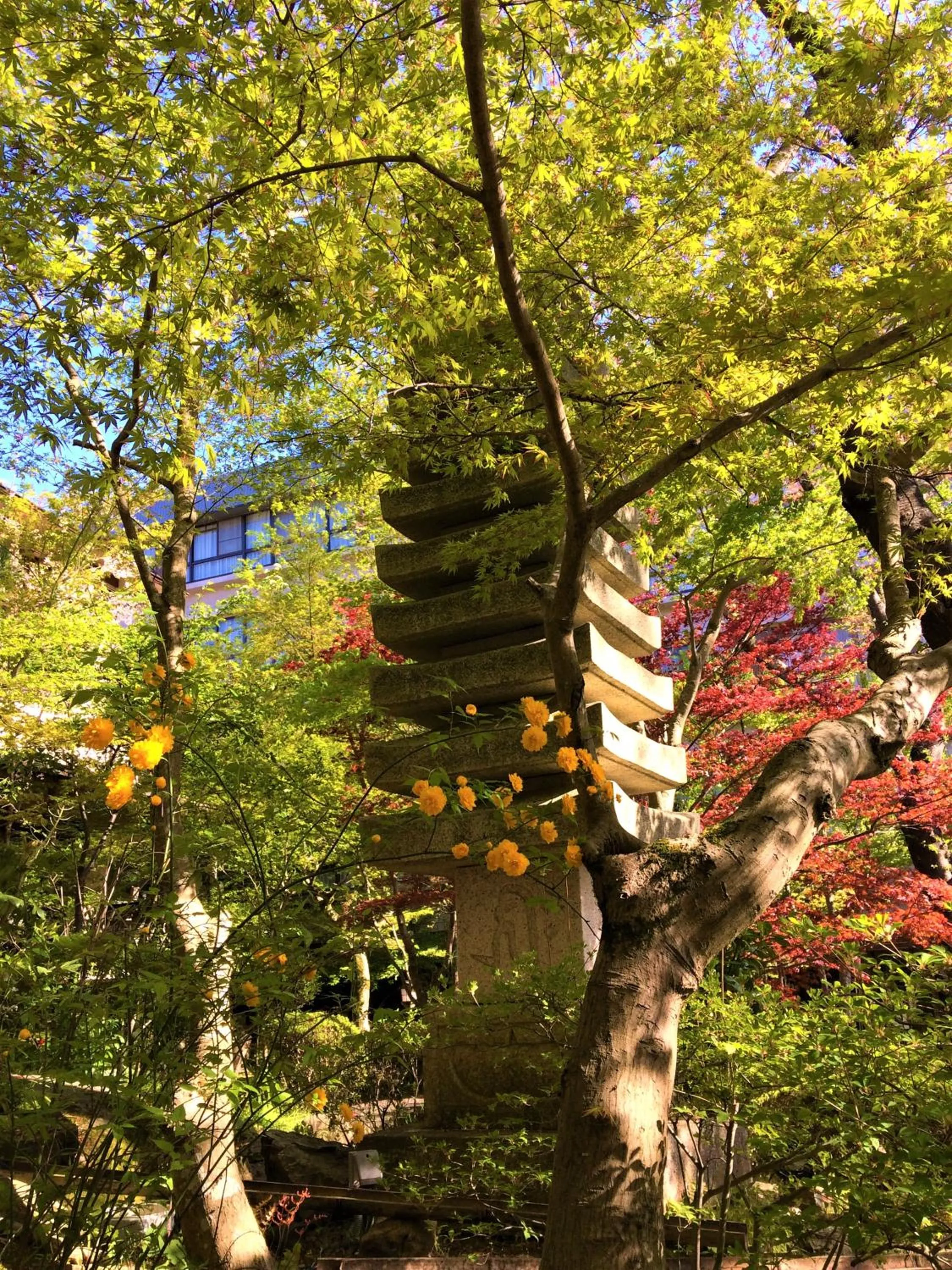 Seasons in Ryokan Nenrinbo