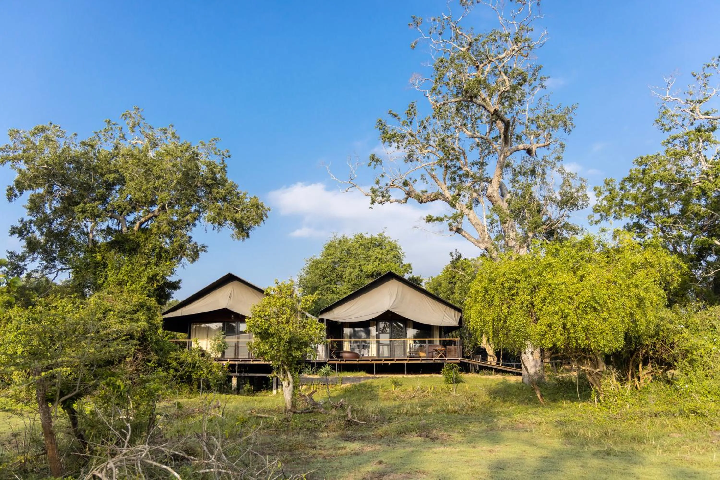 Natural landscape in Leopard Trails Yala