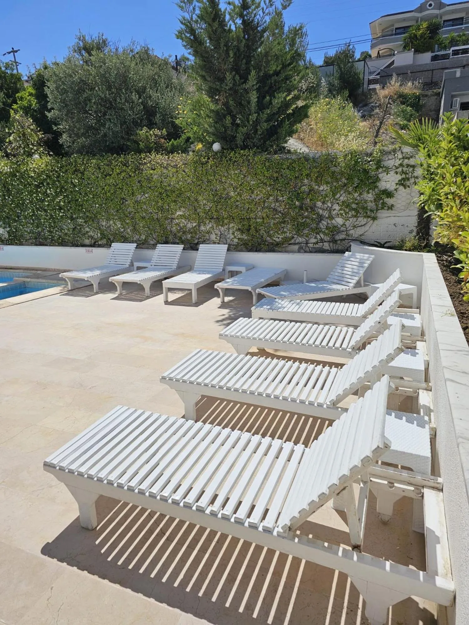 sunbed in Cicek Apart Hotel