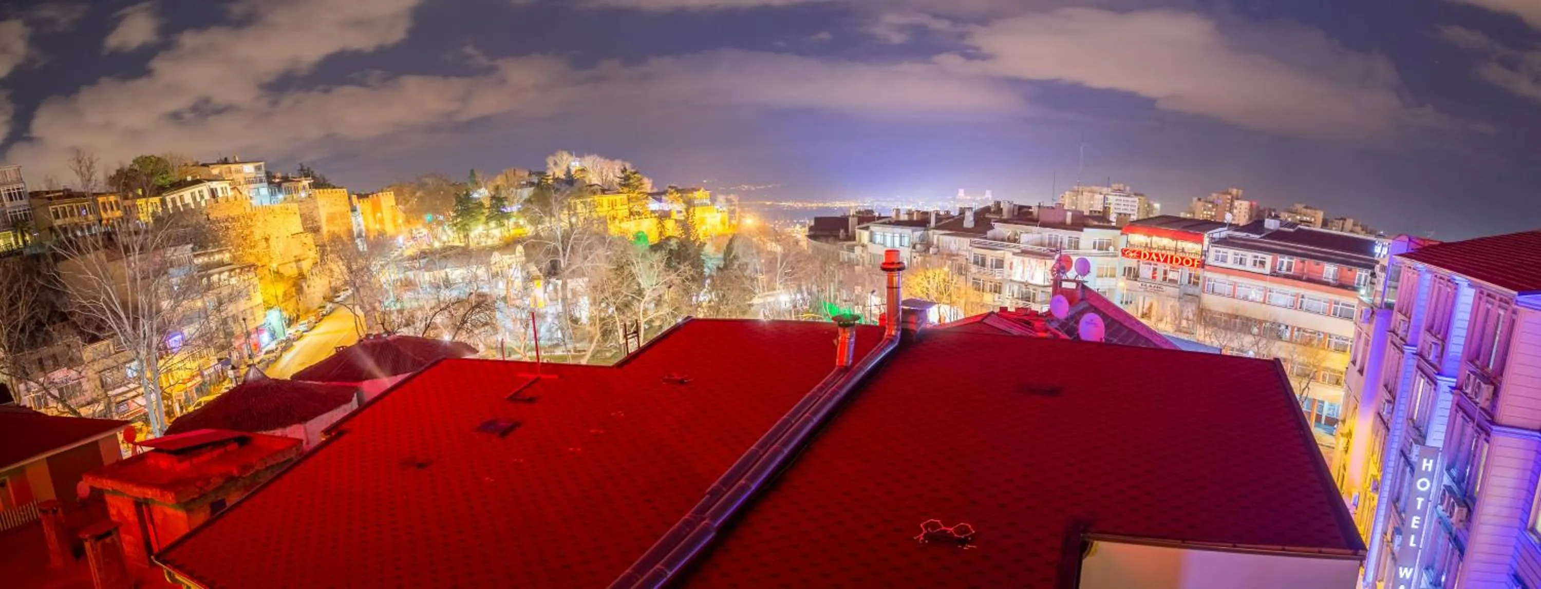 City view in Bursa Palas Hotel